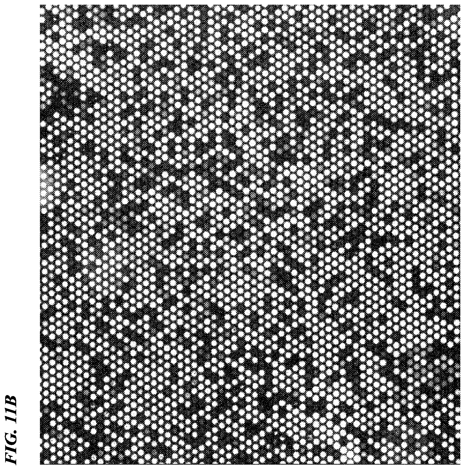 Patent US12480156 Figure 8 – Biomolecule analysis method