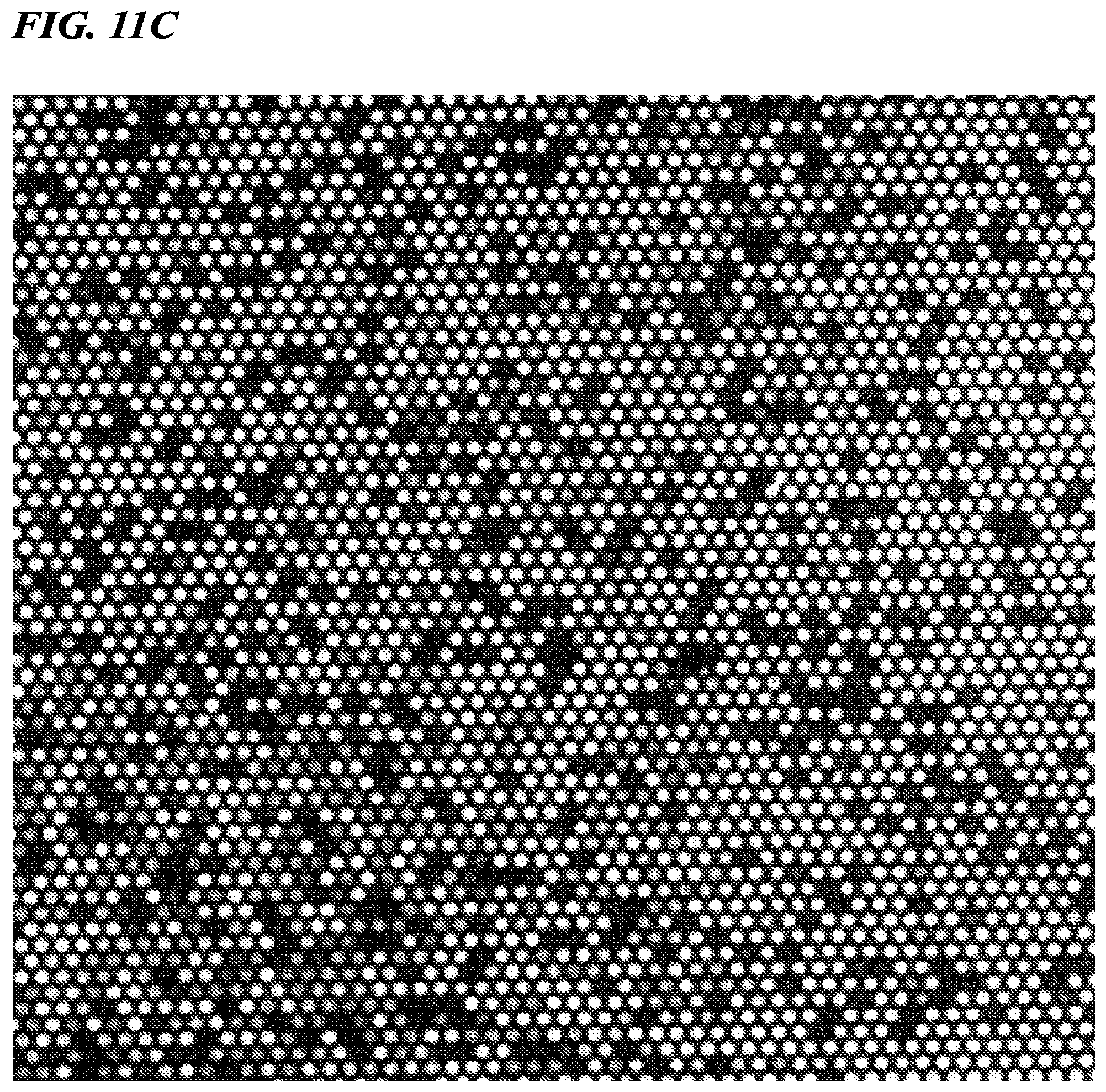 Patent US12480156 Figure 9 – Biomolecule analysis method