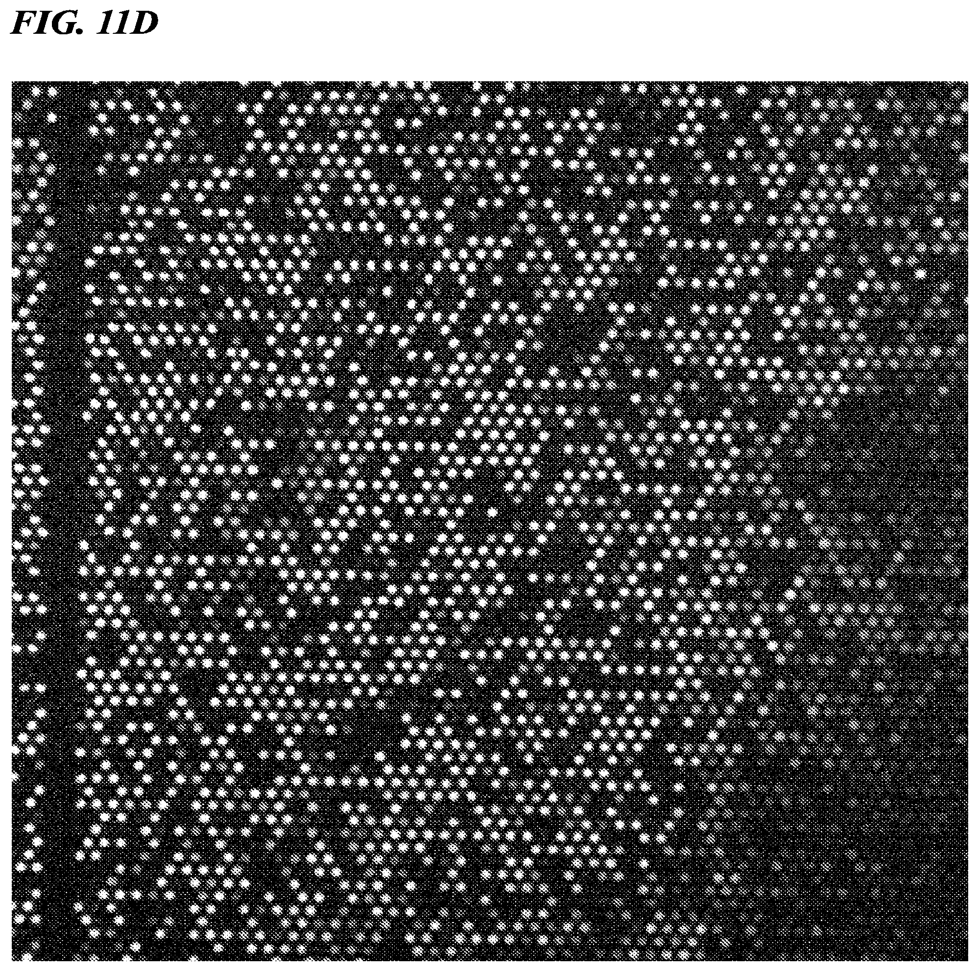 Patent US12480156 Figure 10 – Biomolecule analysis method