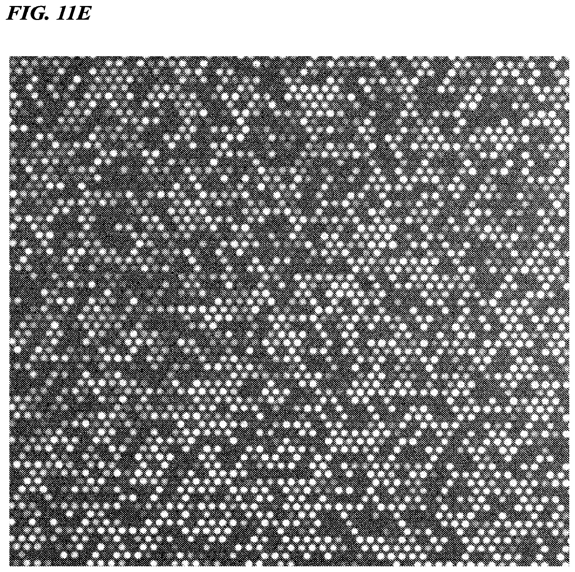 Patent US12480156 Figure 11 – Biomolecule analysis method