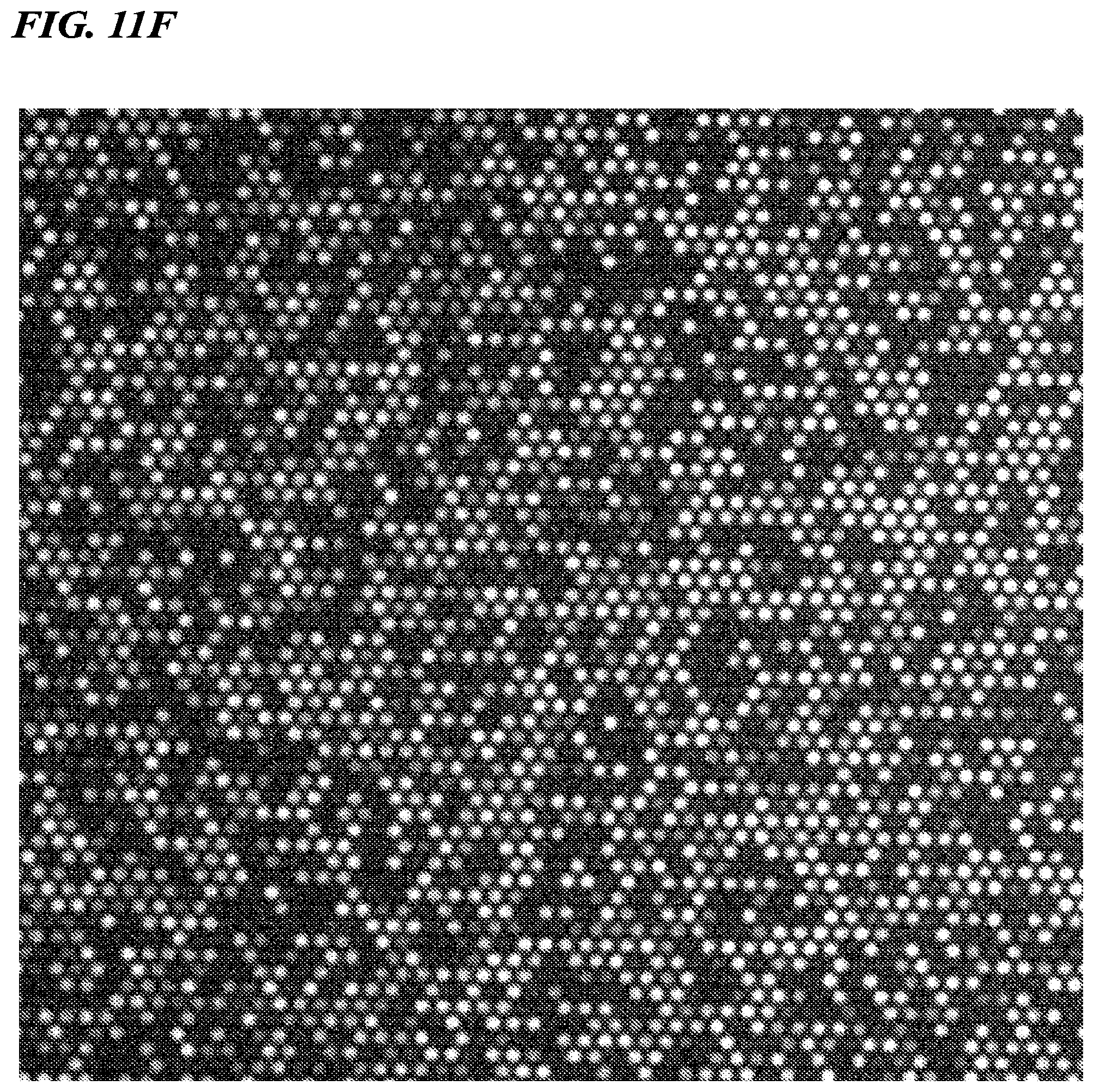Patent US12480156 Figure 12 – Biomolecule analysis method