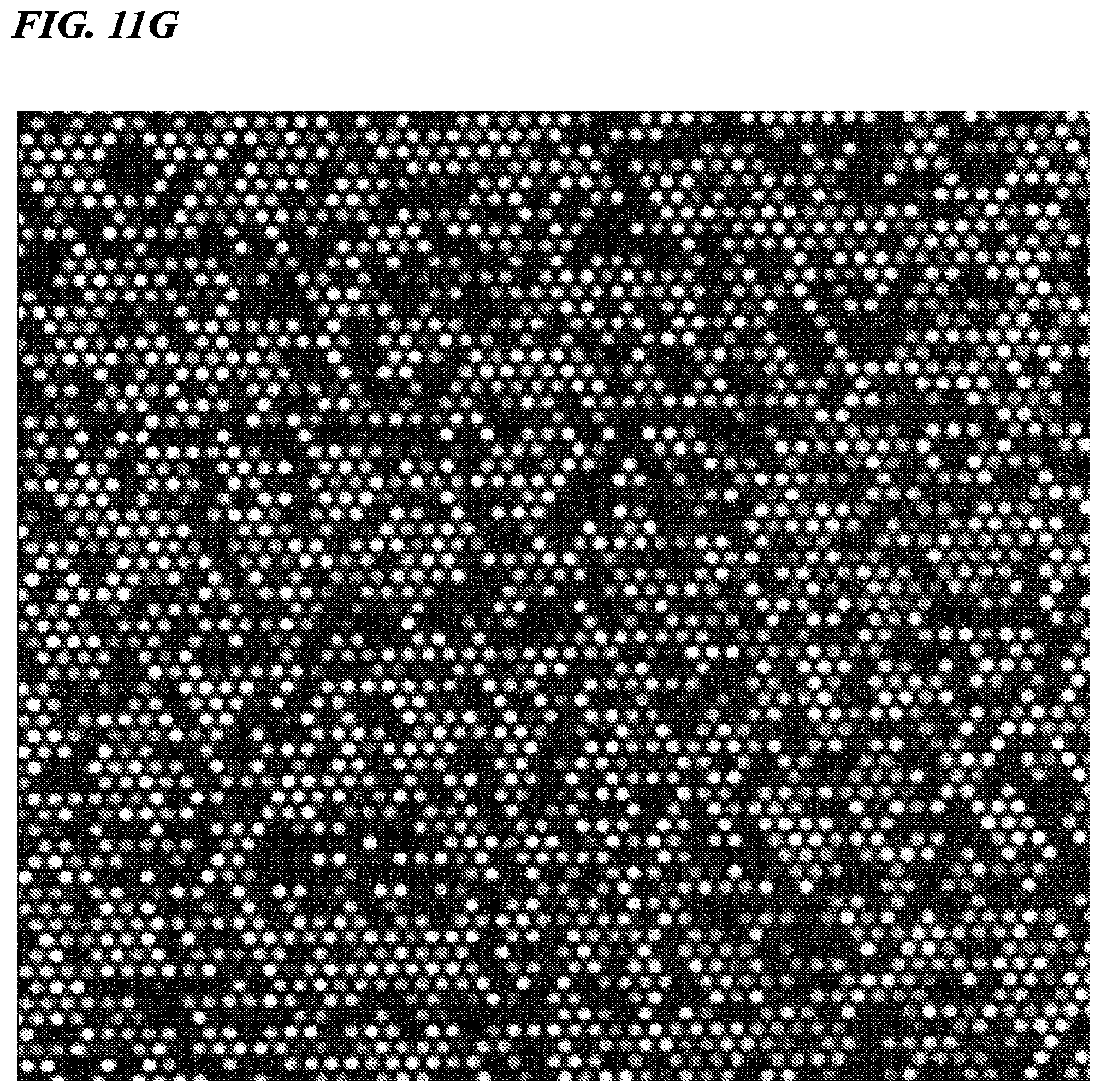 Patent US12480156 Figure 13 – Biomolecule analysis method