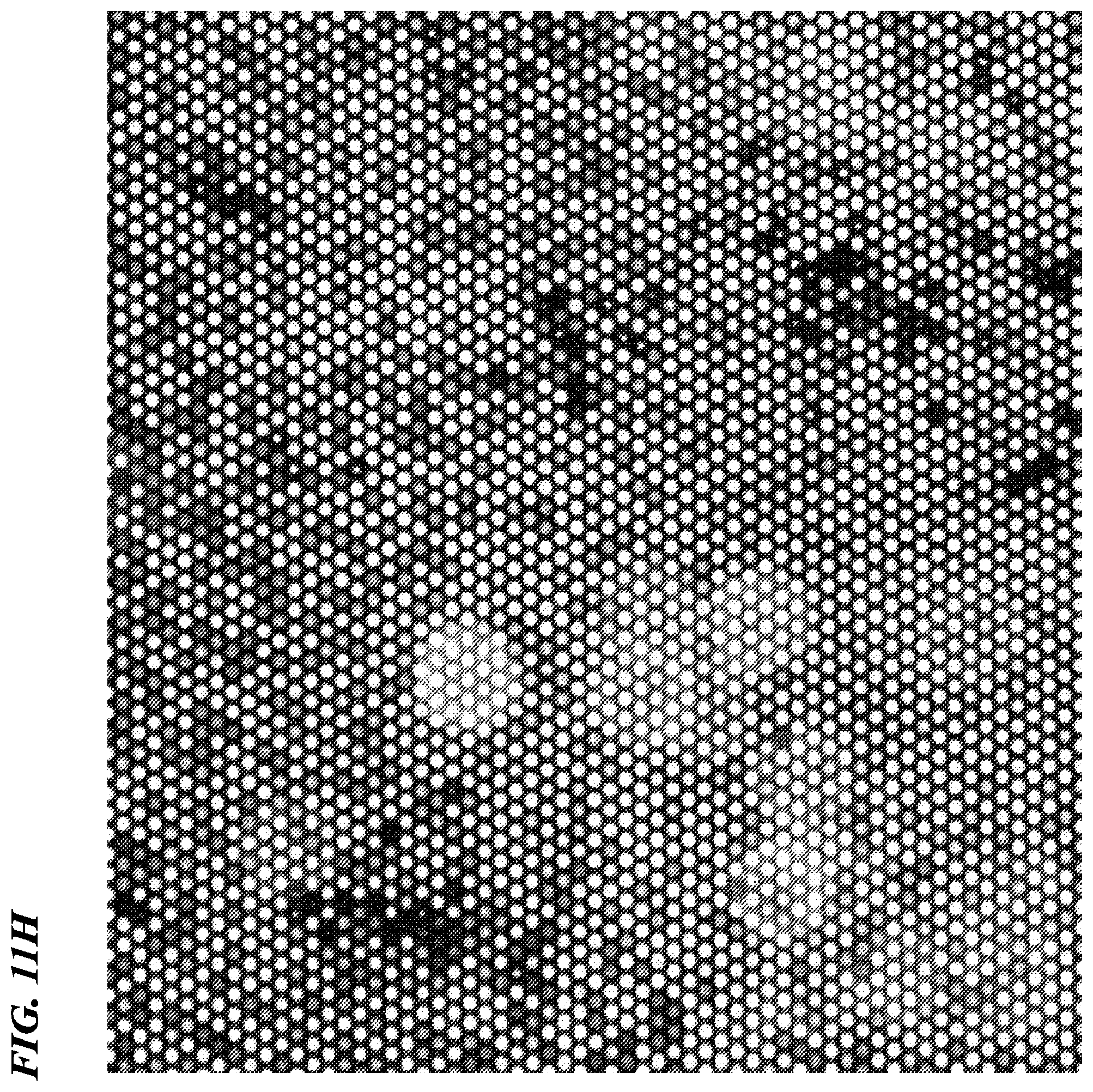 Patent US12480156 Figure 14 – Biomolecule analysis method