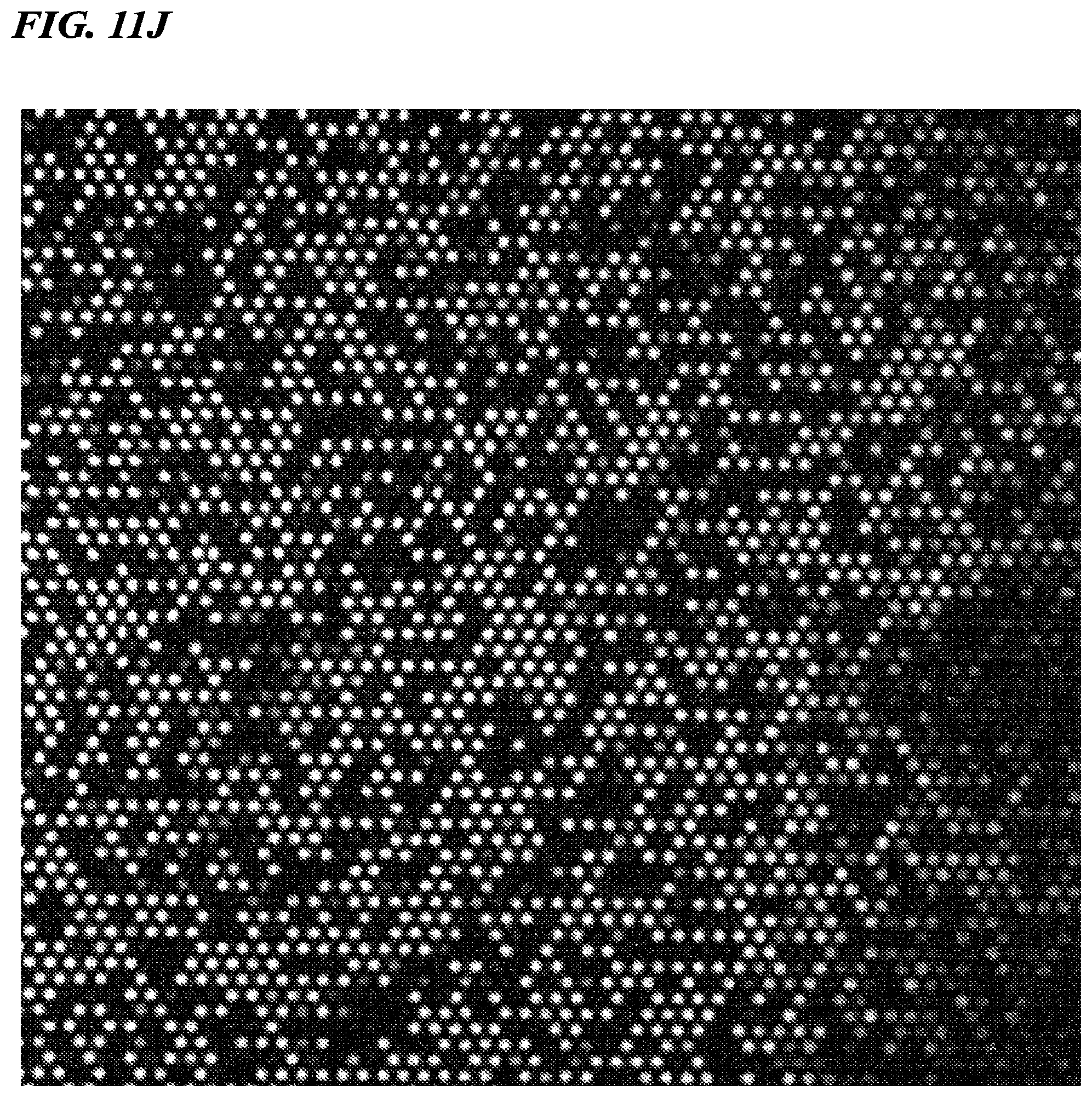Patent US12480156 Figure 16 – Biomolecule analysis method