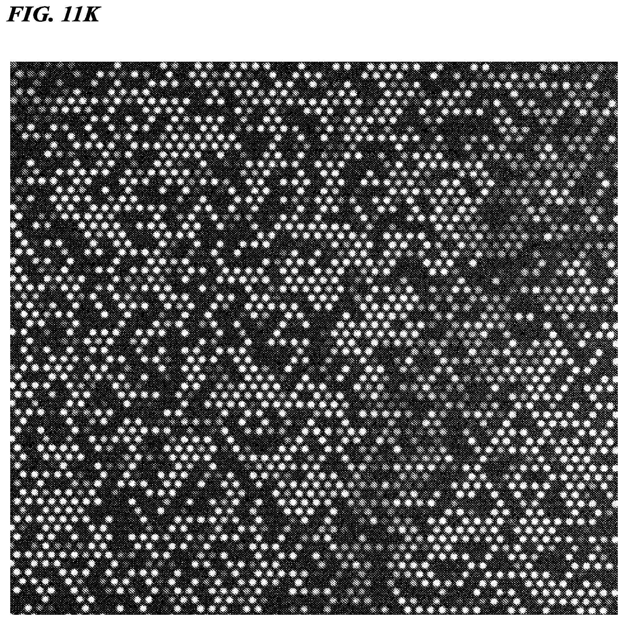 Patent US12480156 Figure 17 – Biomolecule analysis method