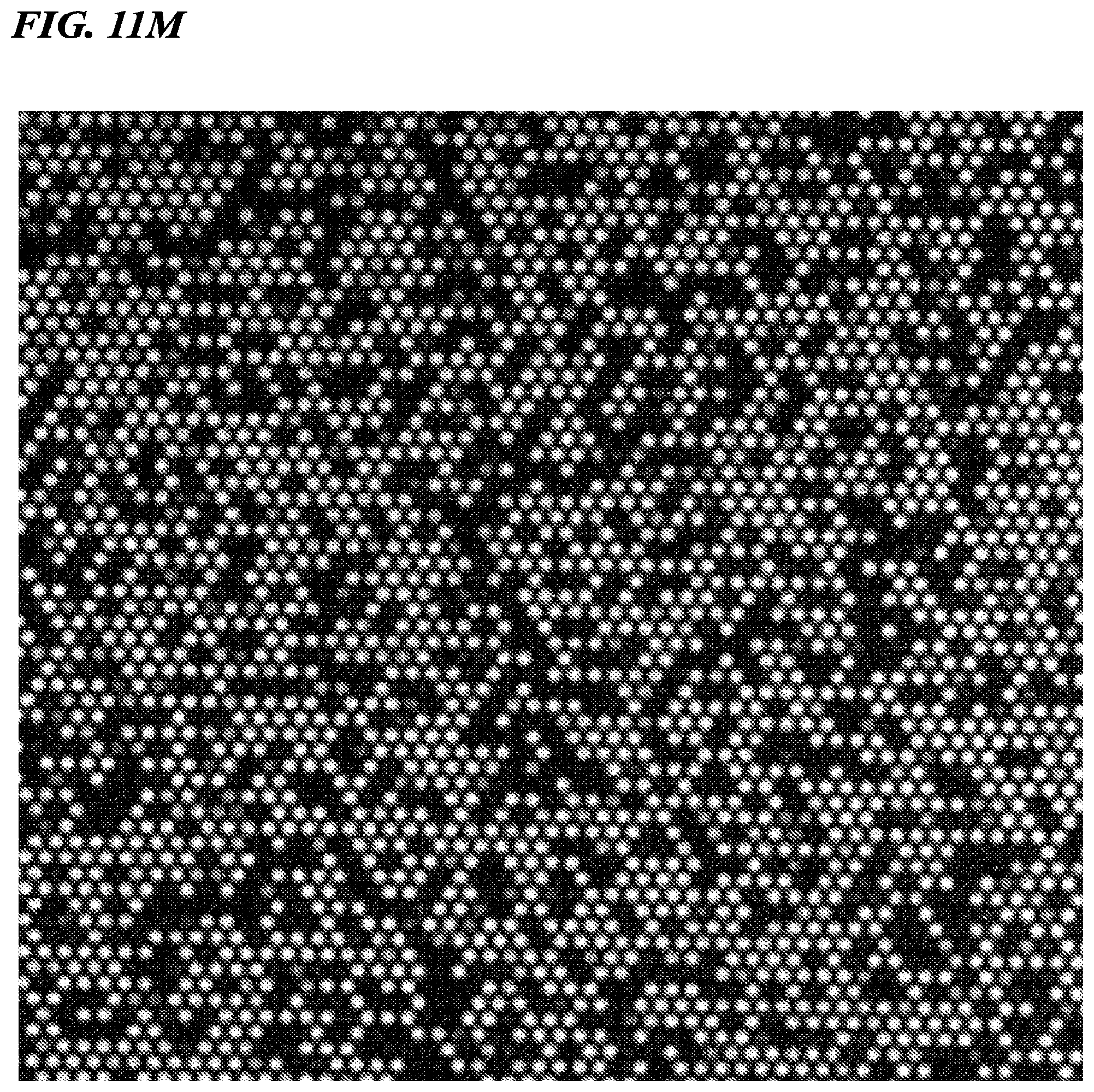 Patent US12480156 Figure 19 – Biomolecule analysis method
