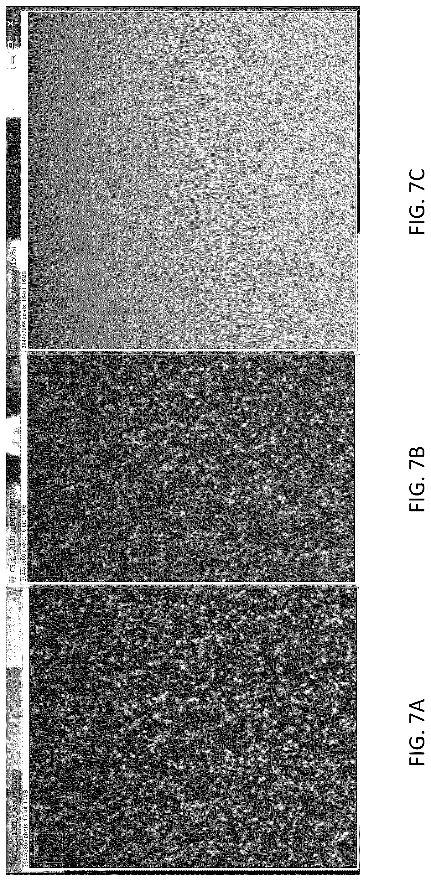 Patent US12480157 Figure 4 – Polynucleotide sequencing