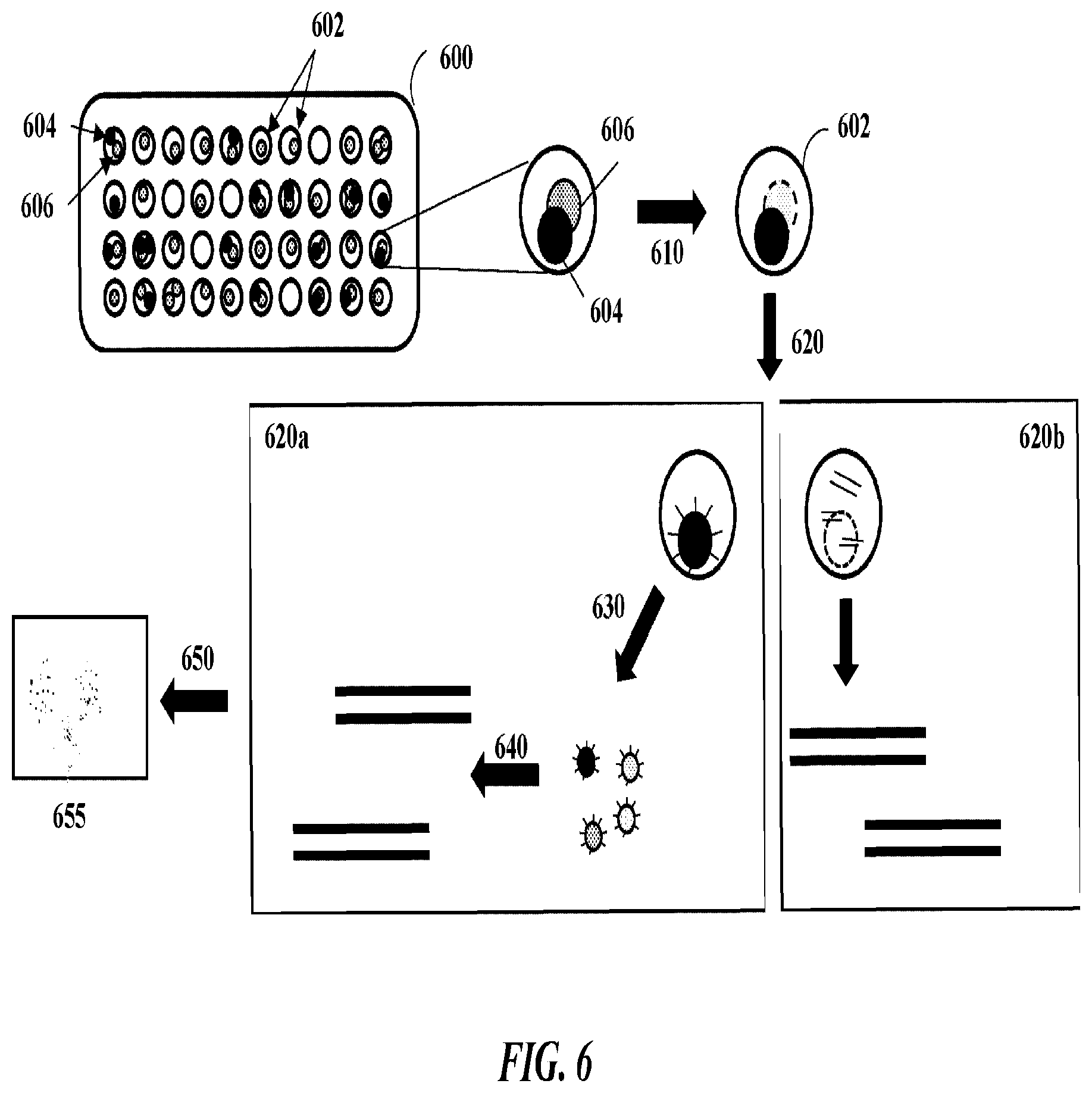 Patent US12480158 Figure 6 – Methods and systems for processing polynucleotides