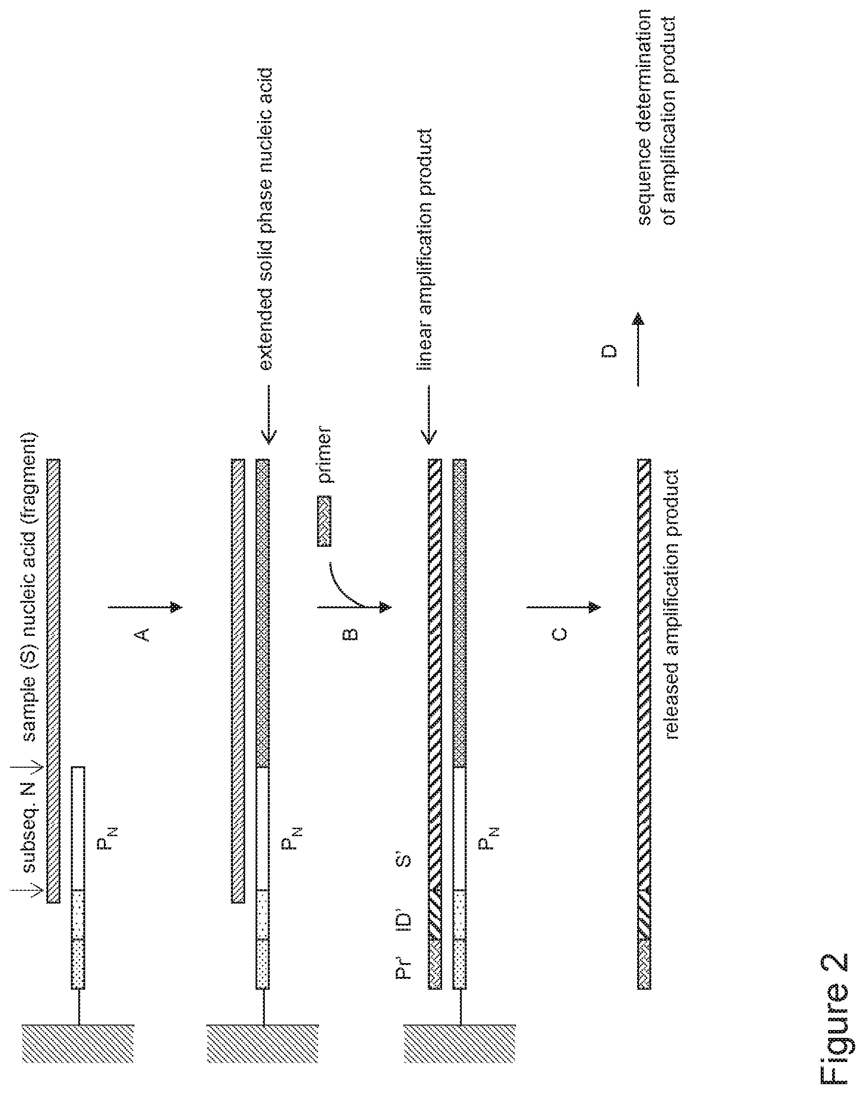 Patent US12480159 Figure 4 – Compositions containing identifier sequences on solid supports for nucleic acid sequence analysis
