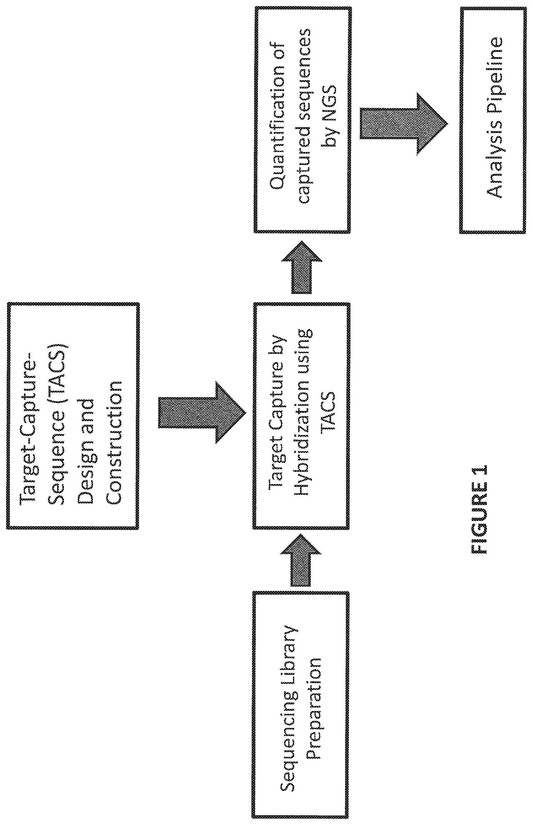 Patent US12480160 Figure 1 – Multiplexed parallel analysis of targeted genomic regions for non-invasive prenatal testing