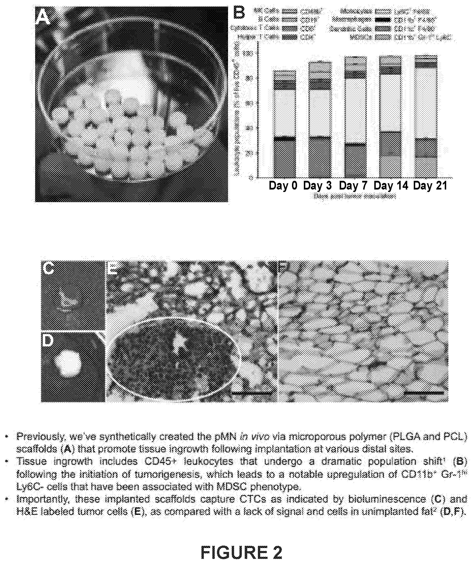 Patent US12480162 Figure 2 – Detection of metastatic disease and related methods