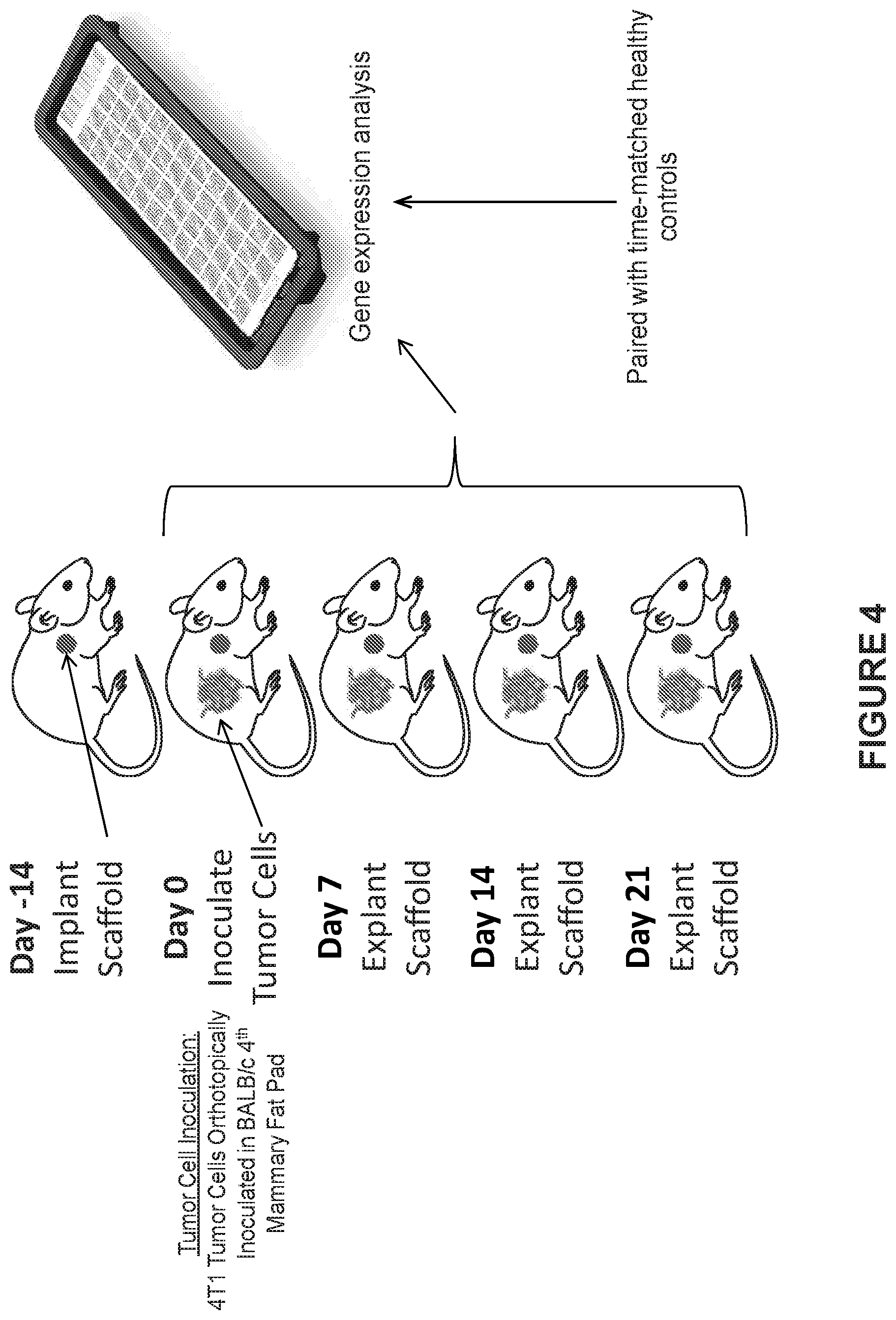 Patent US12480162 Figure 4 – Detection of metastatic disease and related methods