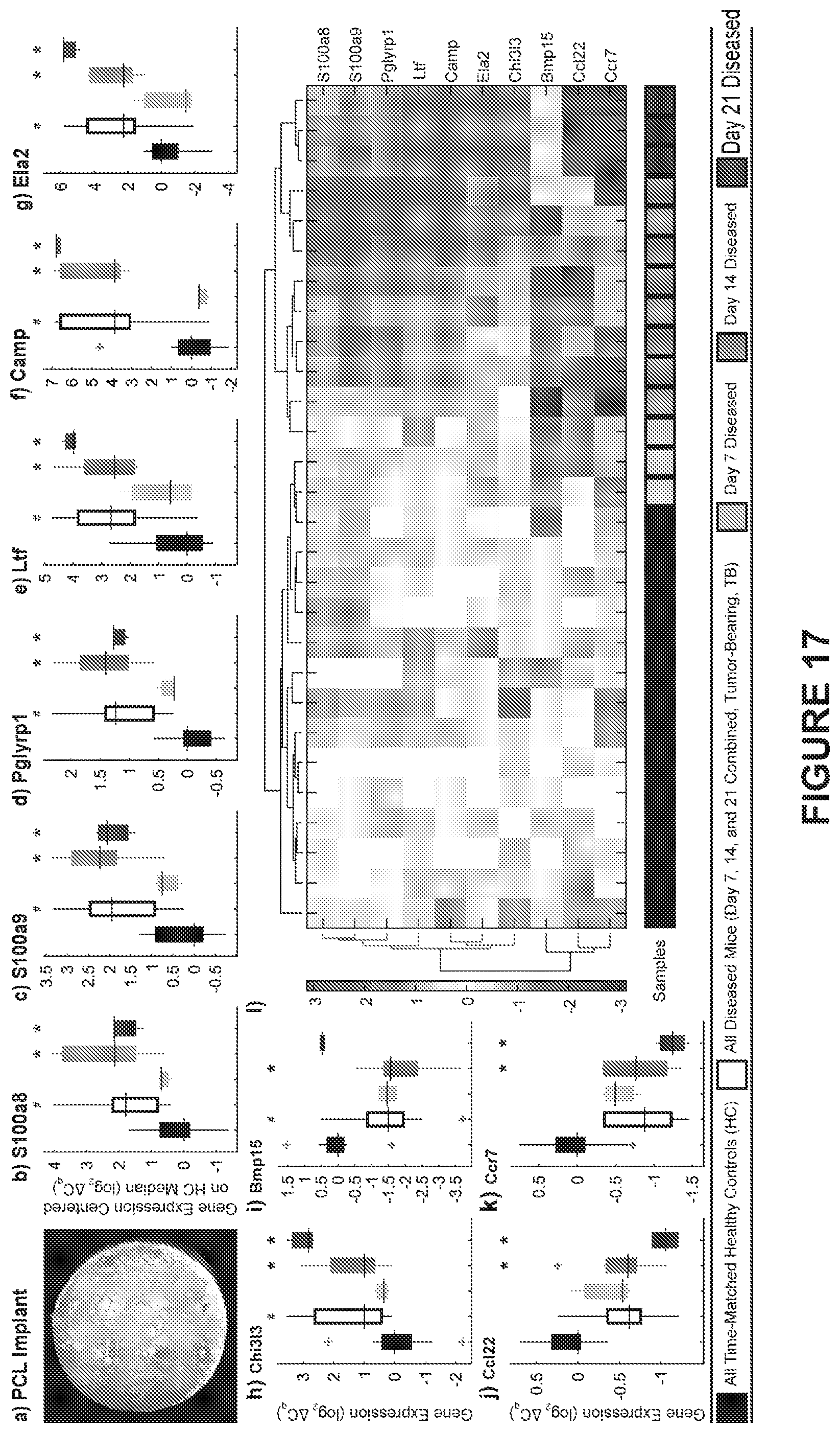 Patent US12480162 Figure 18 – Detection of metastatic disease and related methods