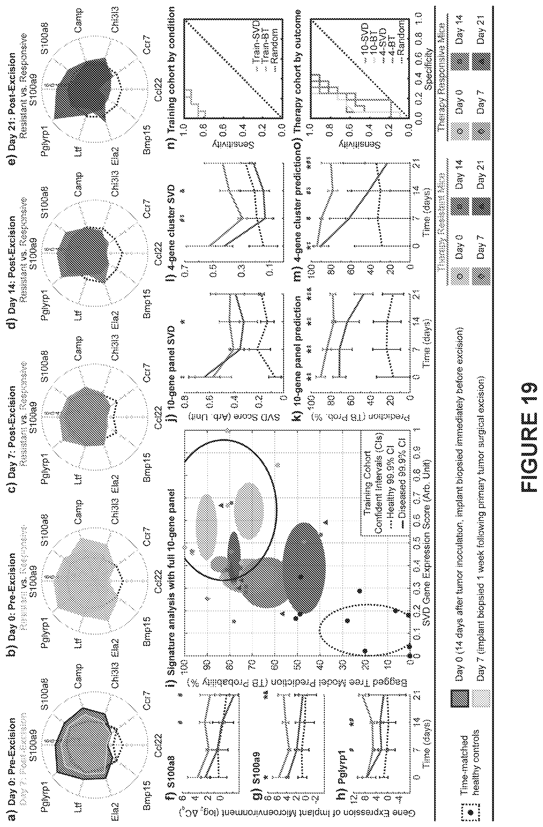 Patent US12480162 Figure 20 – Detection of metastatic disease and related methods