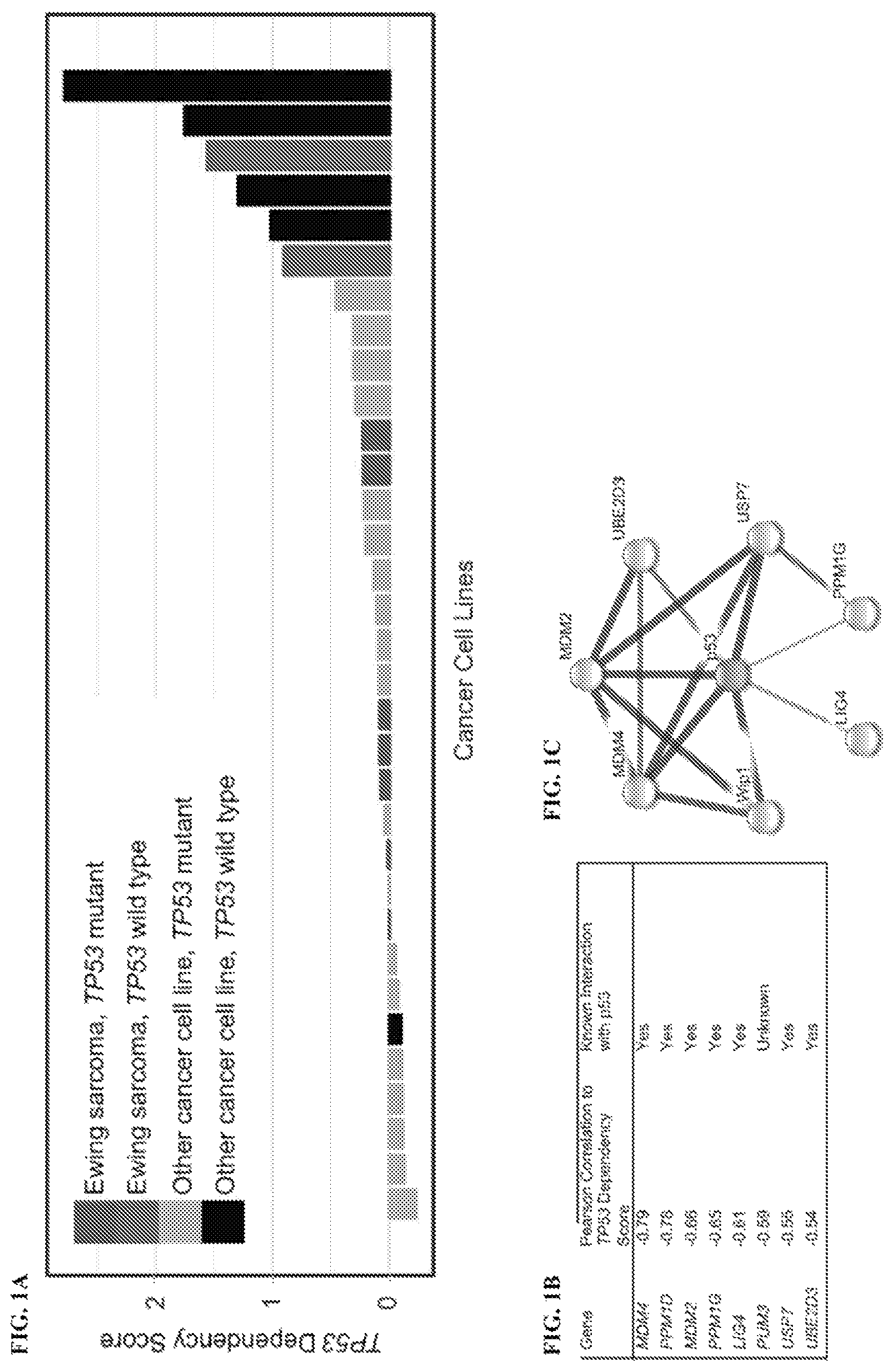 Patent US12480163 Figure 1 – Compositions and methods for identification assessment, prevention, and treatment of Ewing sarcoma using TP53 dependency biomarkers and modulators