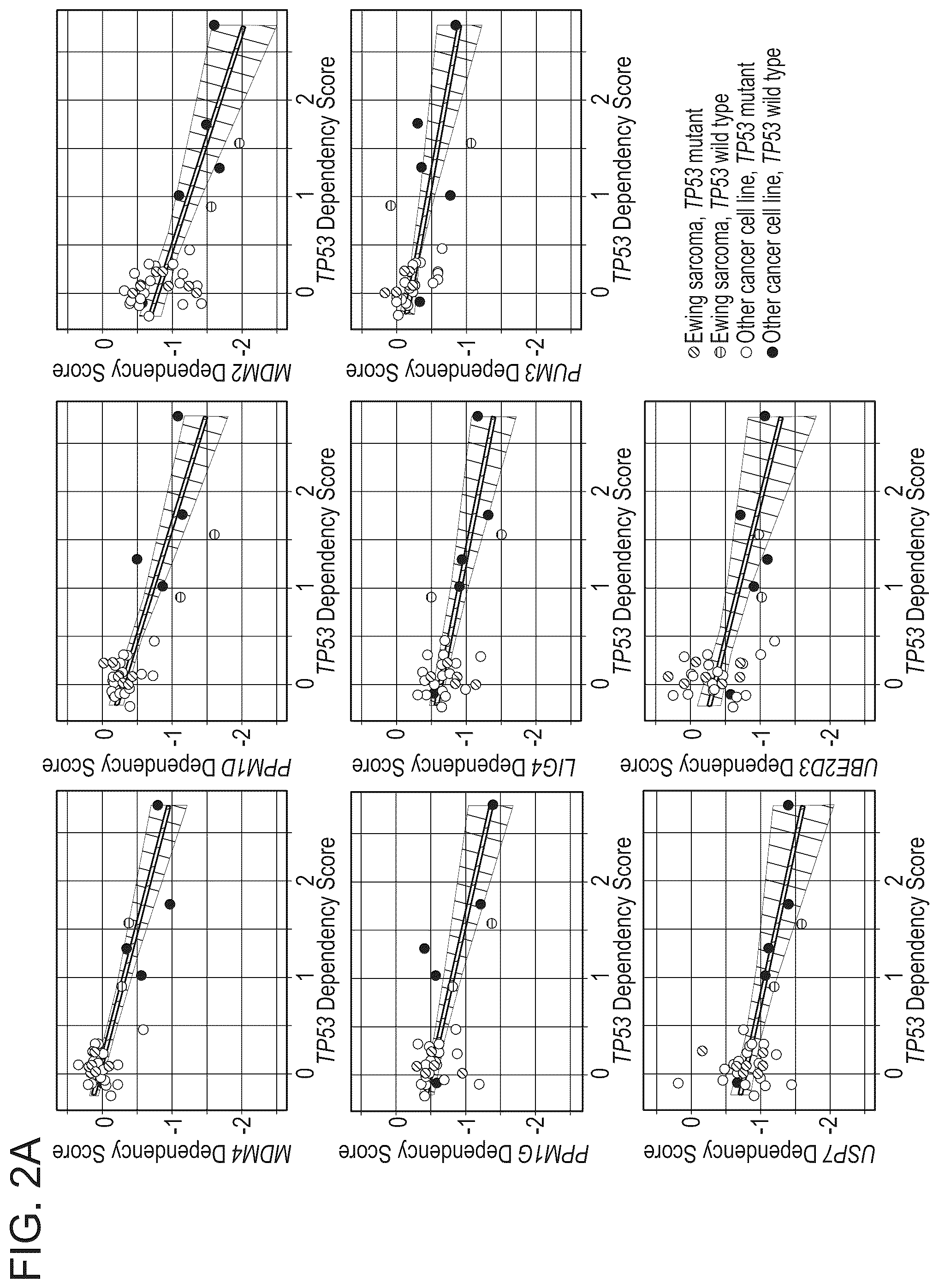 Patent US12480163 Figure 3 – Compositions and methods for identification assessment, prevention, and treatment of Ewing sarcoma using TP53 dependency biomarkers and modulators