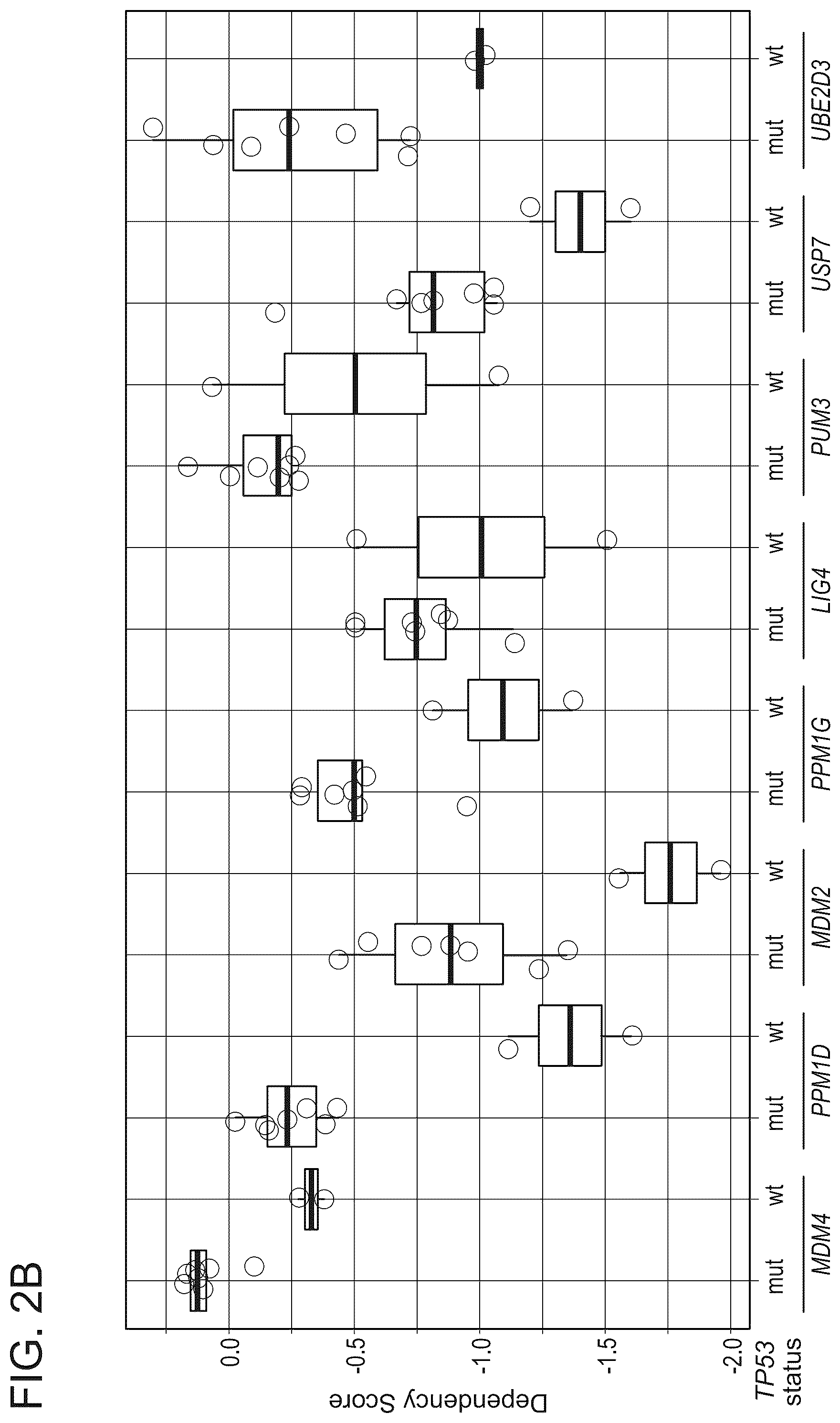 Patent US12480163 Figure 4 – Compositions and methods for identification assessment, prevention, and treatment of Ewing sarcoma using TP53 dependency biomarkers and modulators
