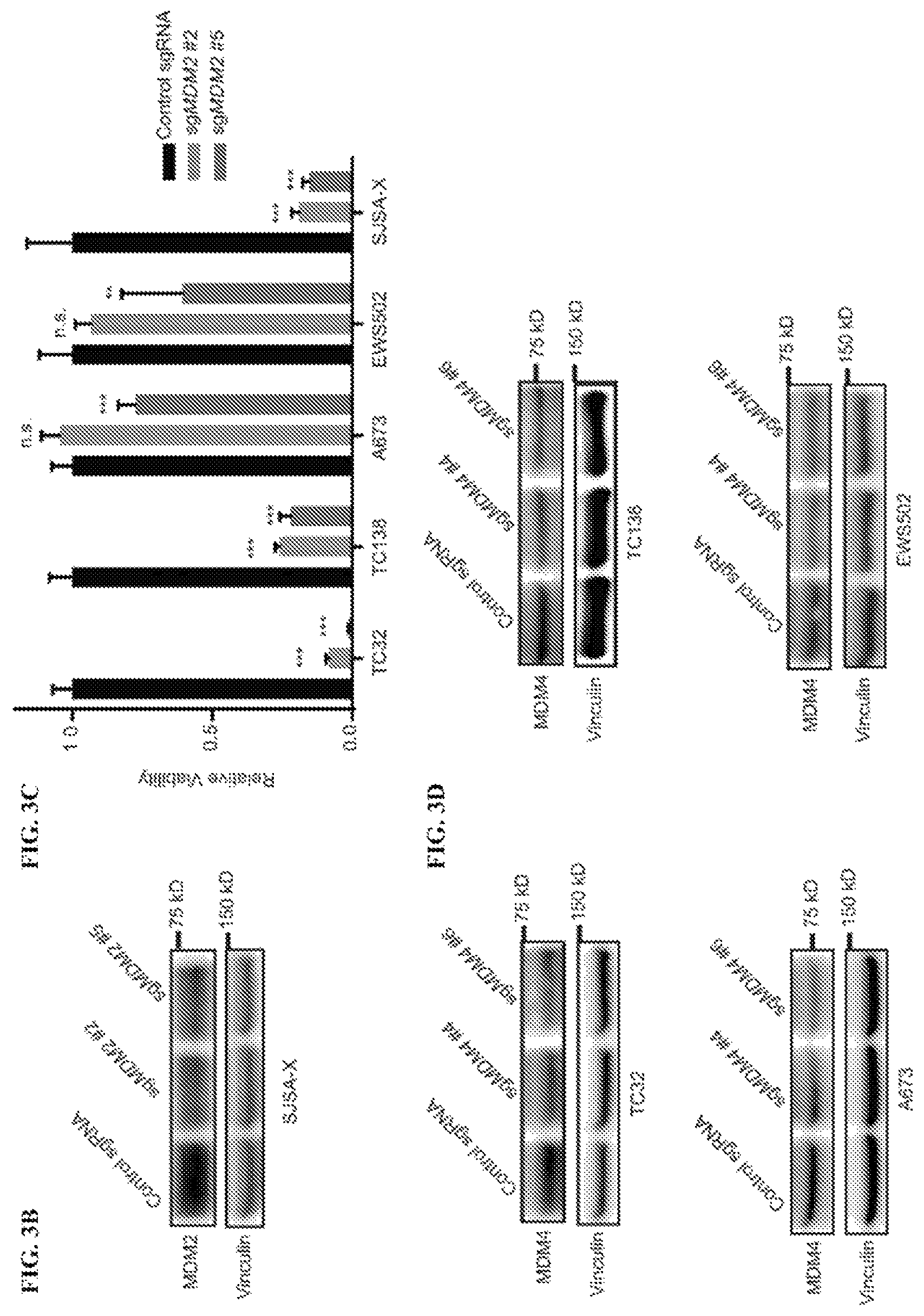 Patent US12480163 Figure 6 – Compositions and methods for identification assessment, prevention, and treatment of Ewing sarcoma using TP53 dependency biomarkers and modulators