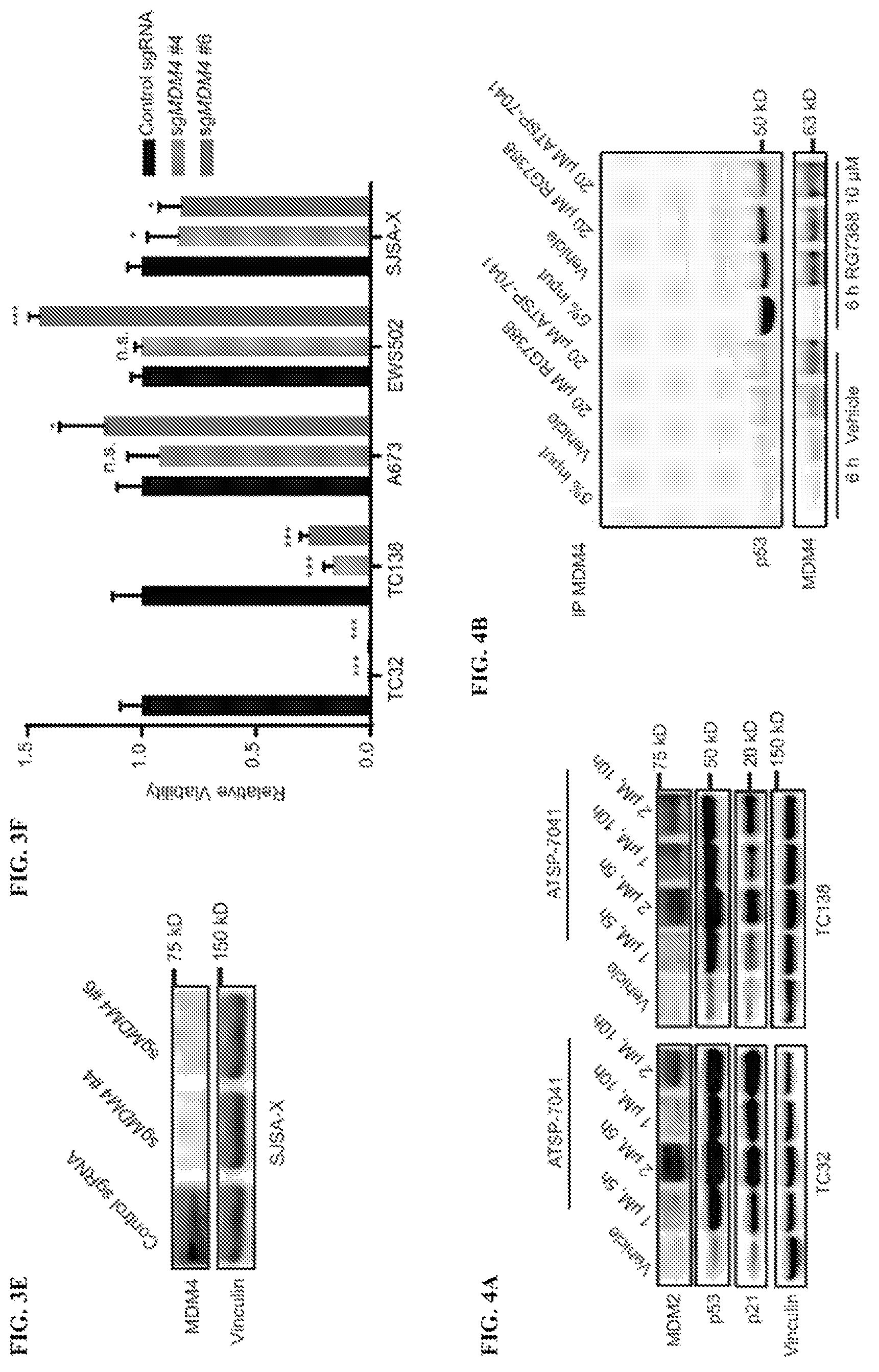 Patent US12480163 Figure 7 – Compositions and methods for identification assessment, prevention, and treatment of Ewing sarcoma using TP53 dependency biomarkers and modulators