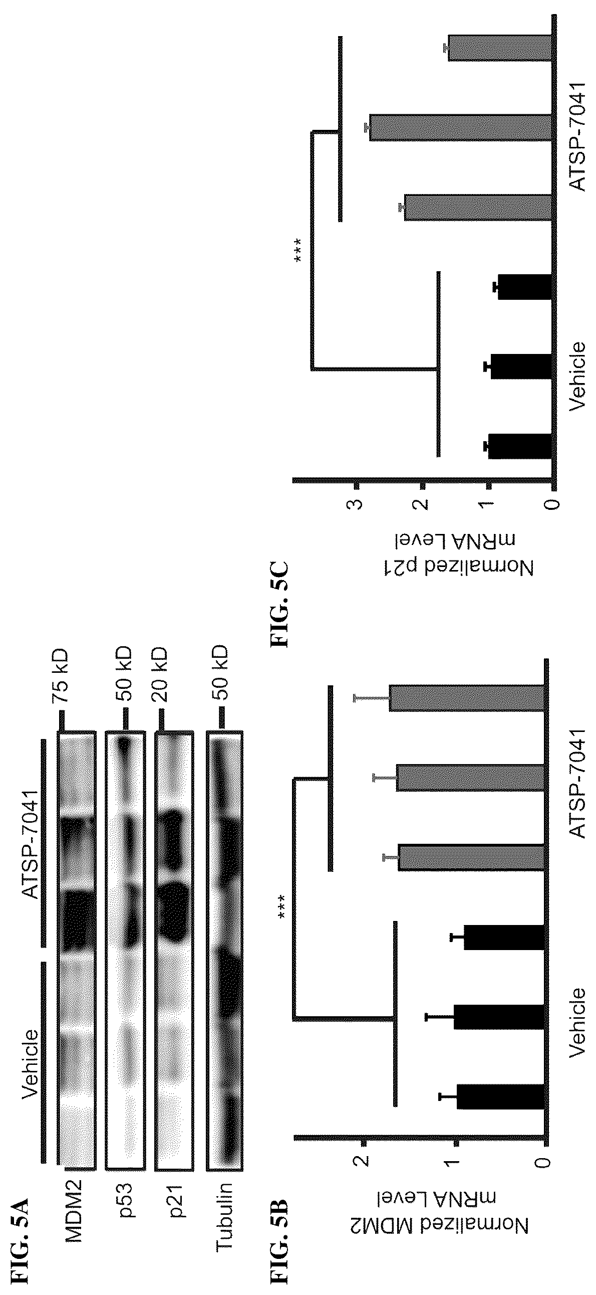 Patent US12480163 Figure 9 – Compositions and methods for identification assessment, prevention, and treatment of Ewing sarcoma using TP53 dependency biomarkers and modulators