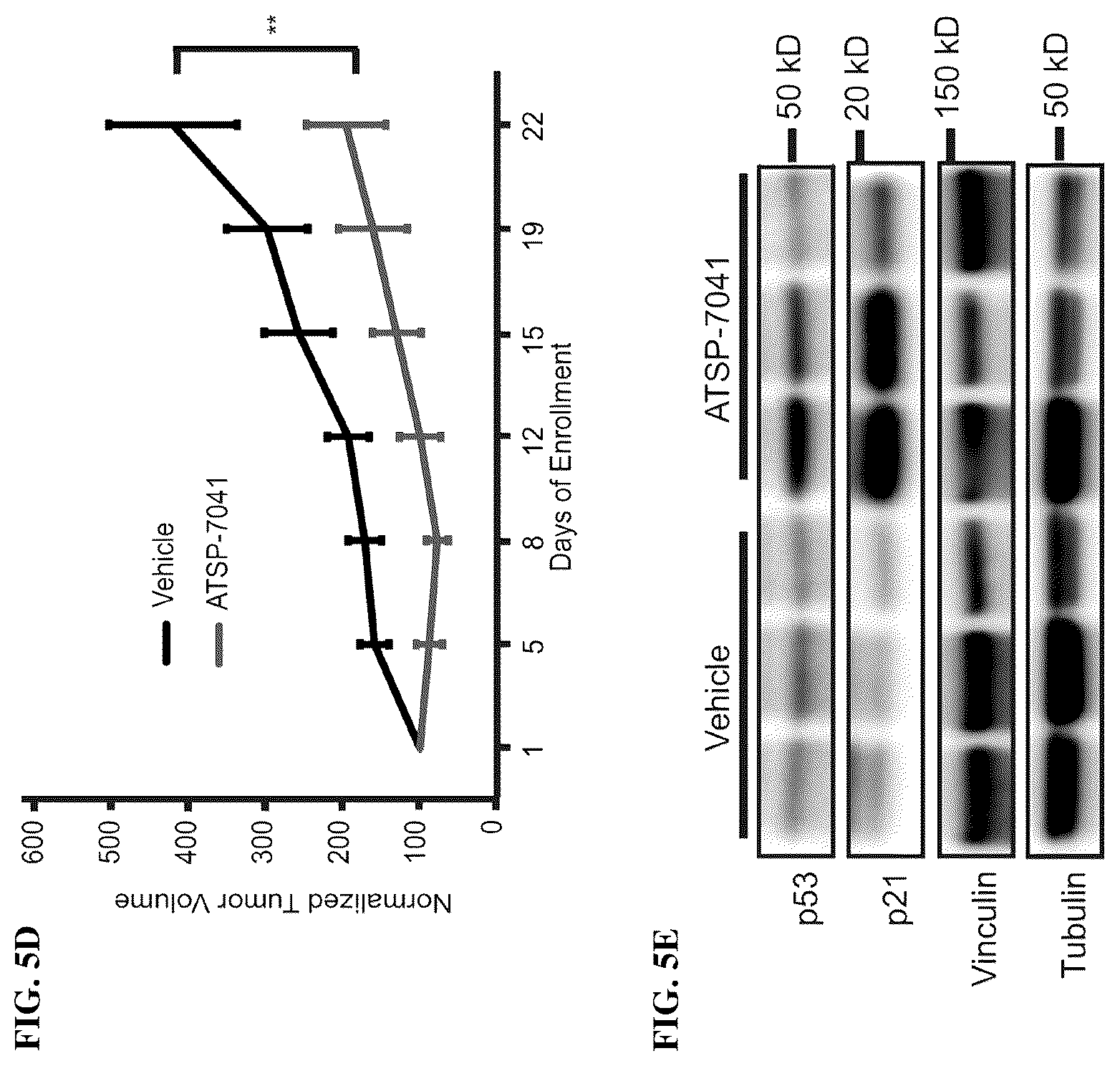 Patent US12480163 Figure 10 – Compositions and methods for identification assessment, prevention, and treatment of Ewing sarcoma using TP53 dependency biomarkers and modulators