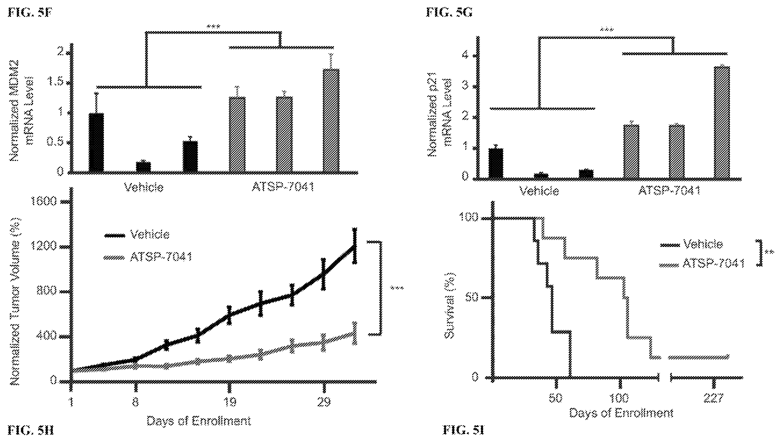 Patent US12480163 Figure 11 – Compositions and methods for identification assessment, prevention, and treatment of Ewing sarcoma using TP53 dependency biomarkers and modulators
