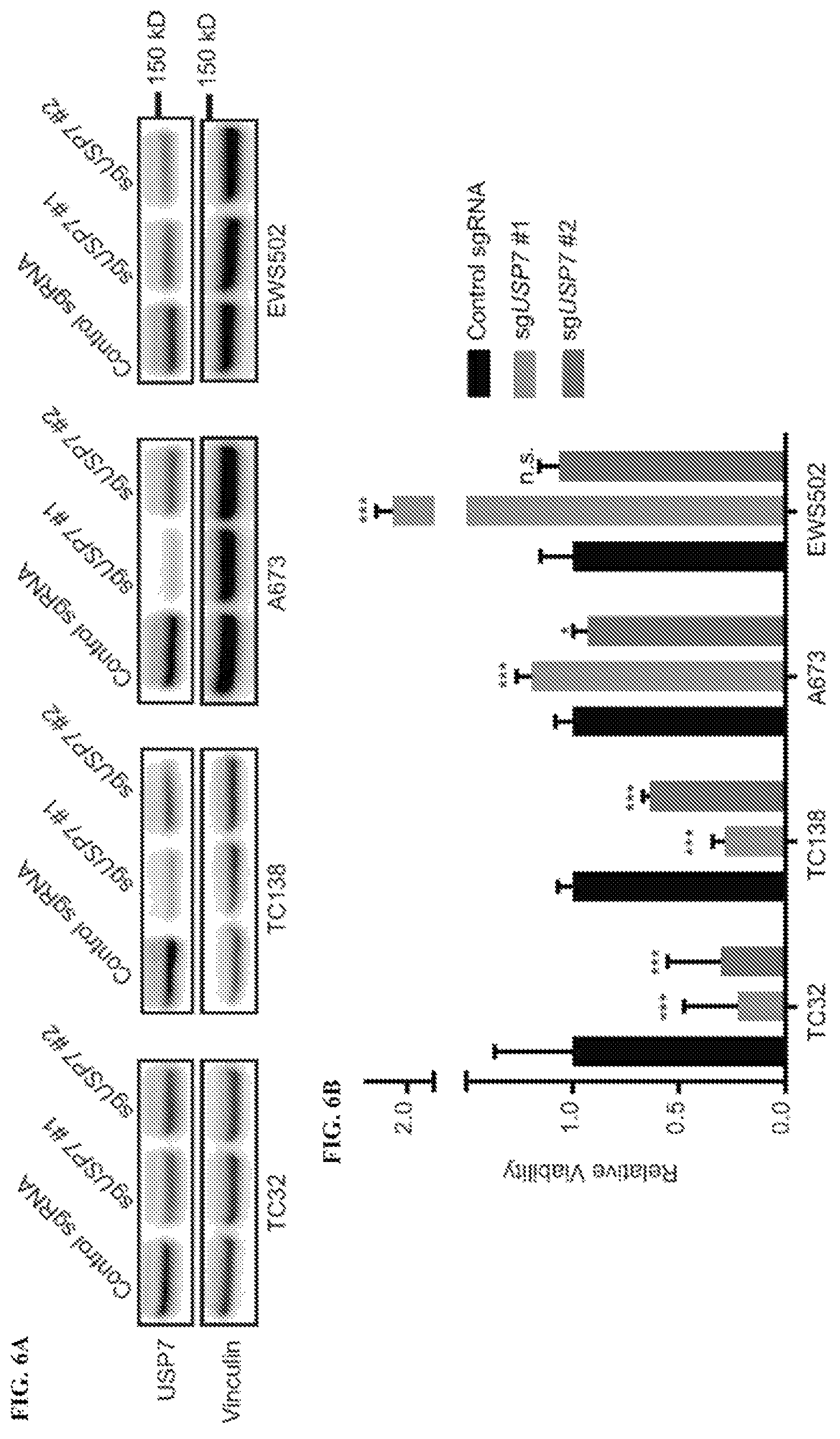 Patent US12480163 Figure 12 – Compositions and methods for identification assessment, prevention, and treatment of Ewing sarcoma using TP53 dependency biomarkers and modulators
