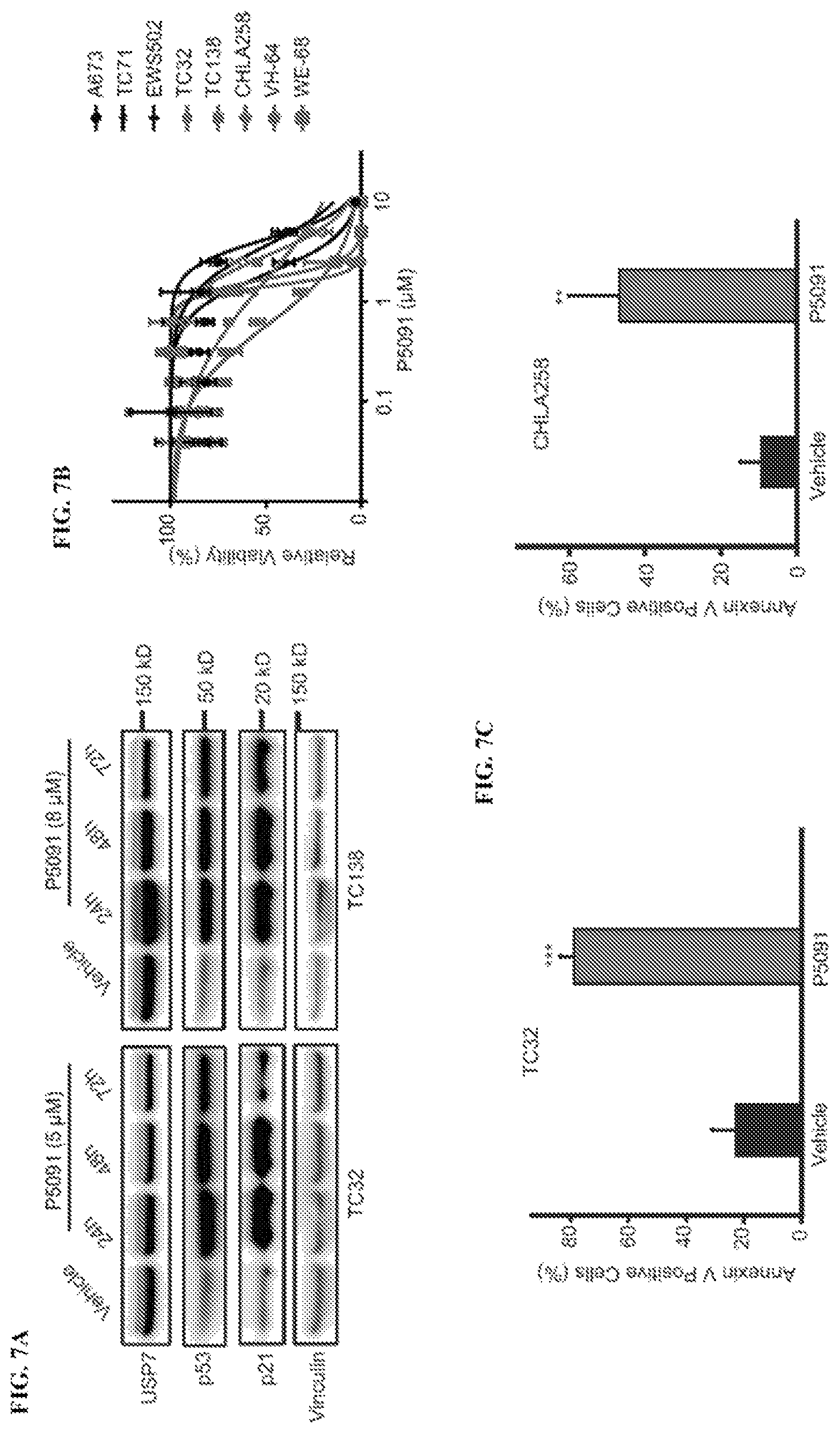 Patent US12480163 Figure 14 – Compositions and methods for identification assessment, prevention, and treatment of Ewing sarcoma using TP53 dependency biomarkers and modulators
