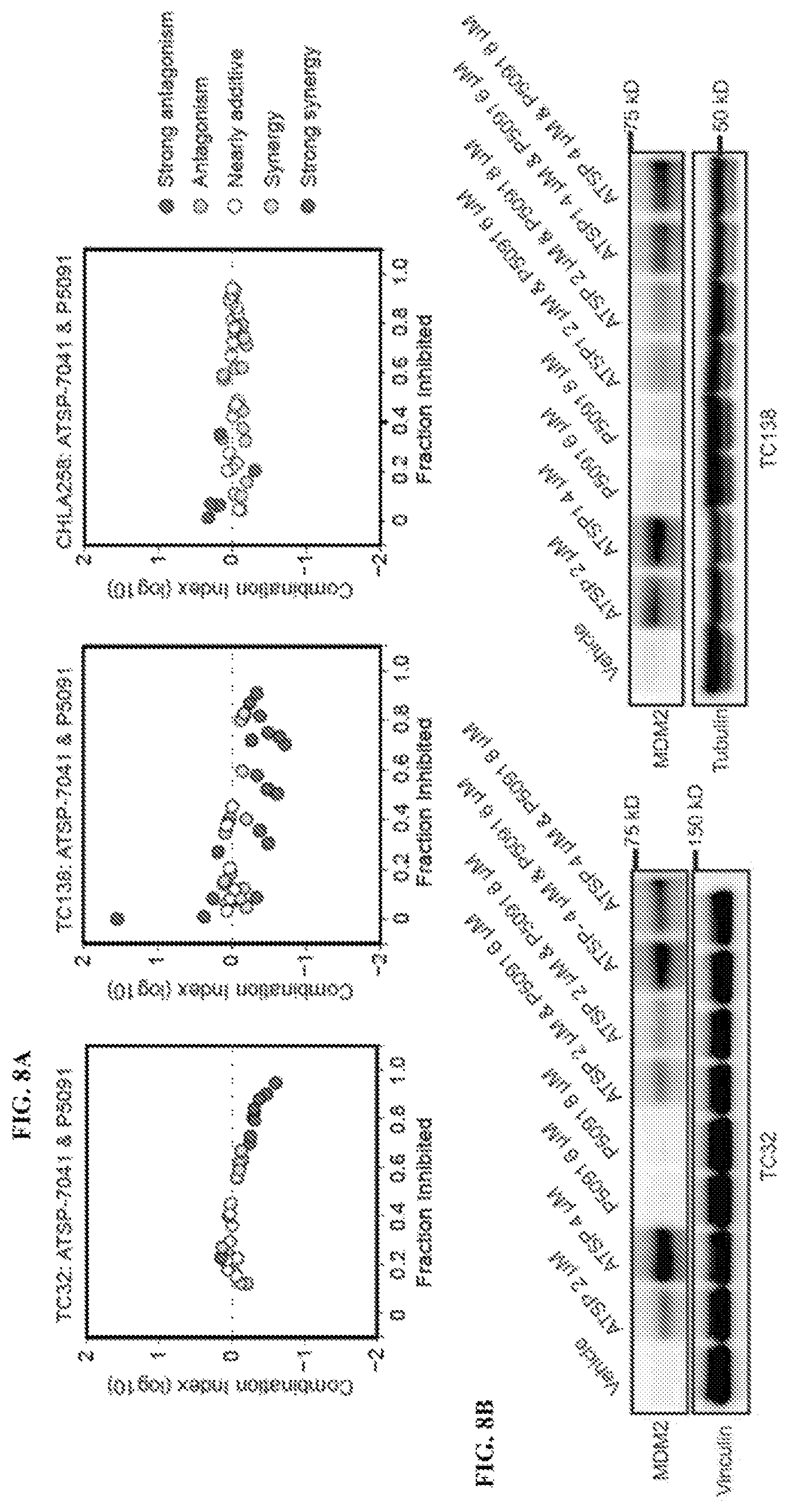 Patent US12480163 Figure 16 – Compositions and methods for identification assessment, prevention, and treatment of Ewing sarcoma using TP53 dependency biomarkers and modulators