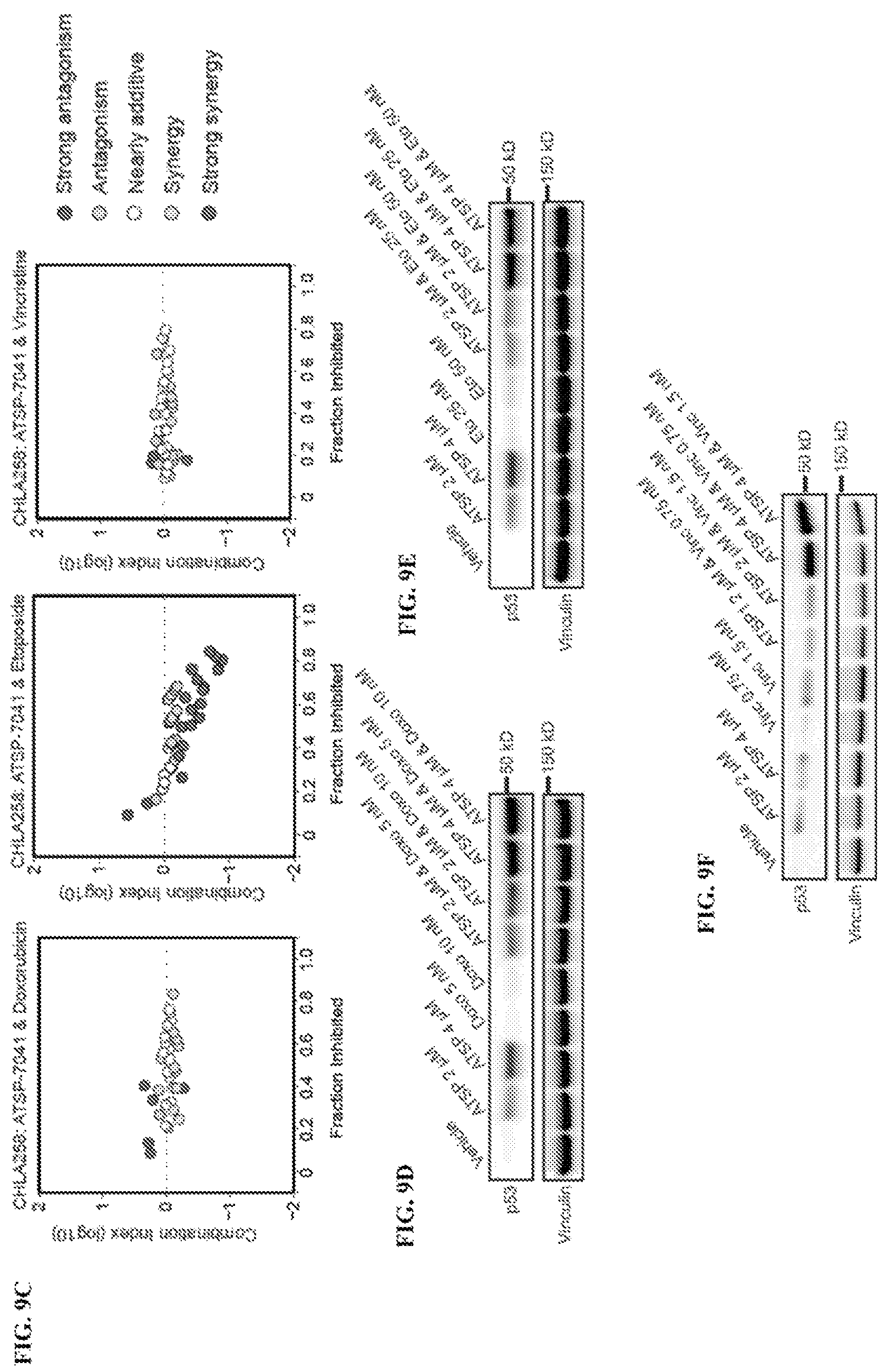 Patent US12480163 Figure 19 – Compositions and methods for identification assessment, prevention, and treatment of Ewing sarcoma using TP53 dependency biomarkers and modulators
