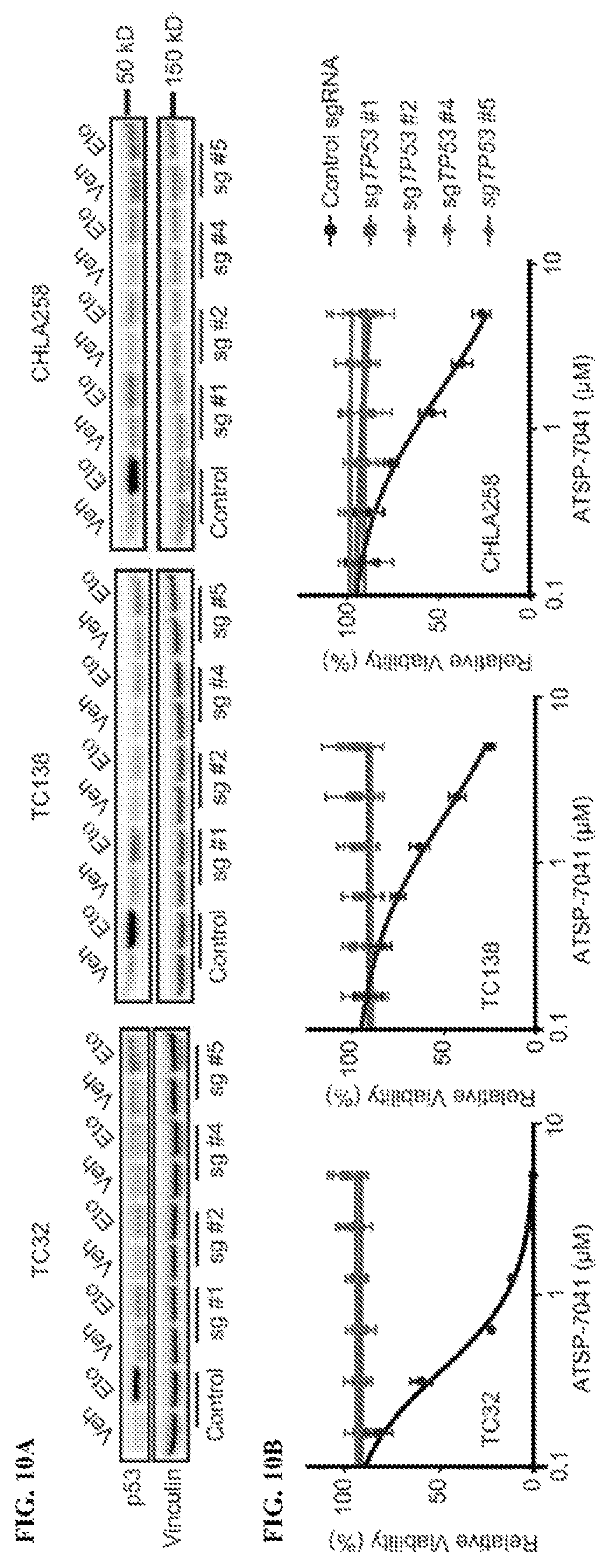 Patent US12480163 Figure 20 – Compositions and methods for identification assessment, prevention, and treatment of Ewing sarcoma using TP53 dependency biomarkers and modulators