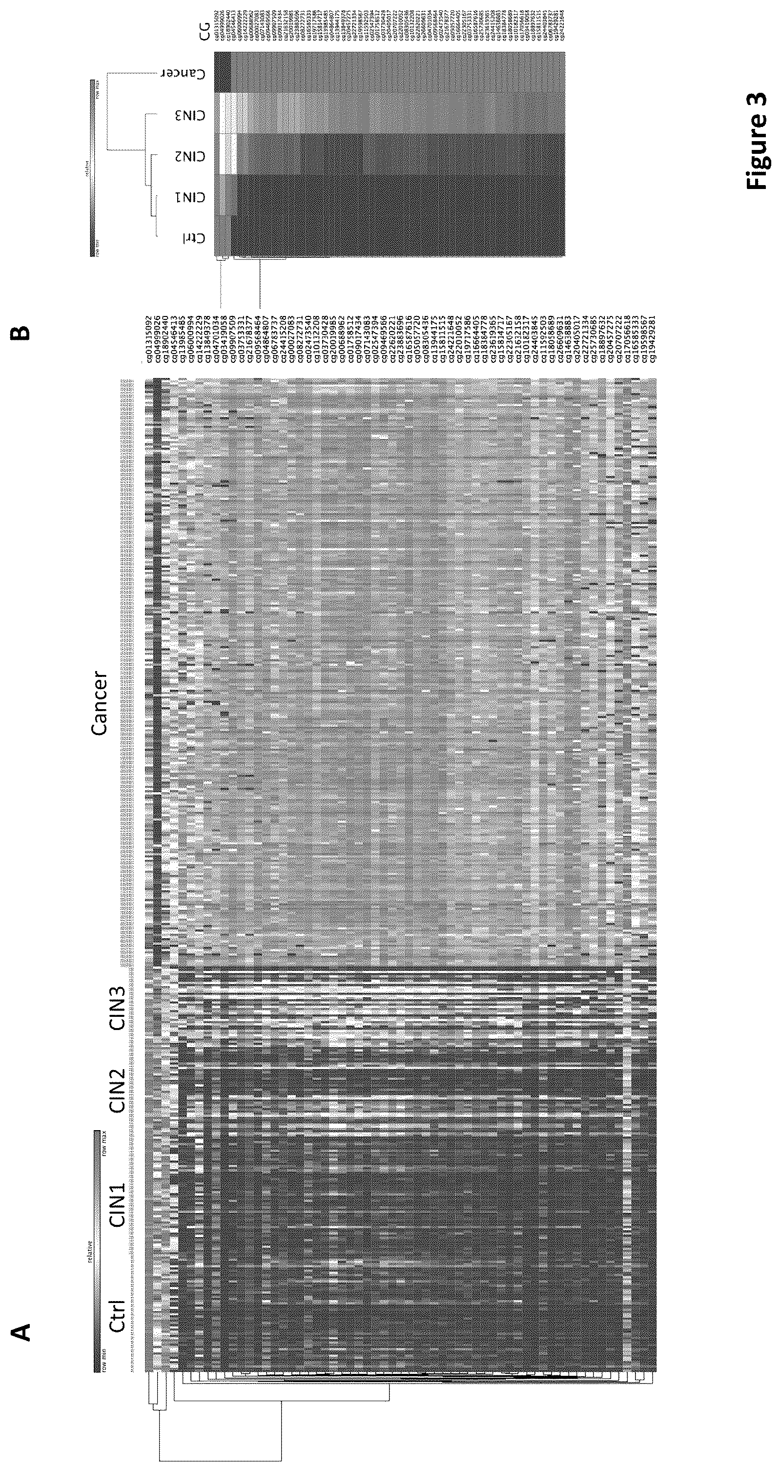 Patent US12480164 Figure 3 – DNA methylation biomarkers for early detection of cervical cancer