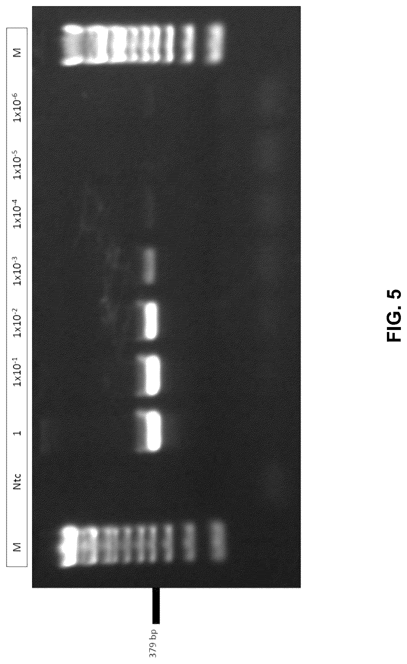 Patent US12480167 Figure 5 – Shrimp disease detection assays and uses thereof