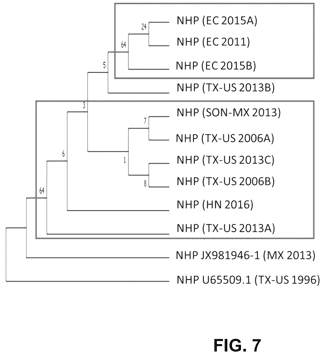Patent US12480167 Figure 7 – Shrimp disease detection assays and uses thereof