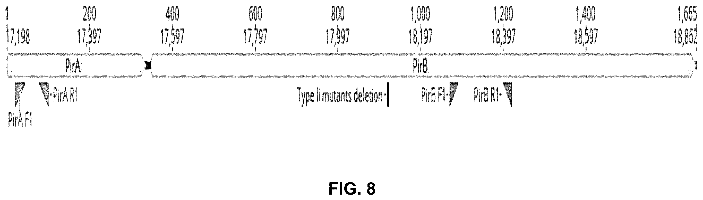 Patent US12480167 Figure 8 – Shrimp disease detection assays and uses thereof