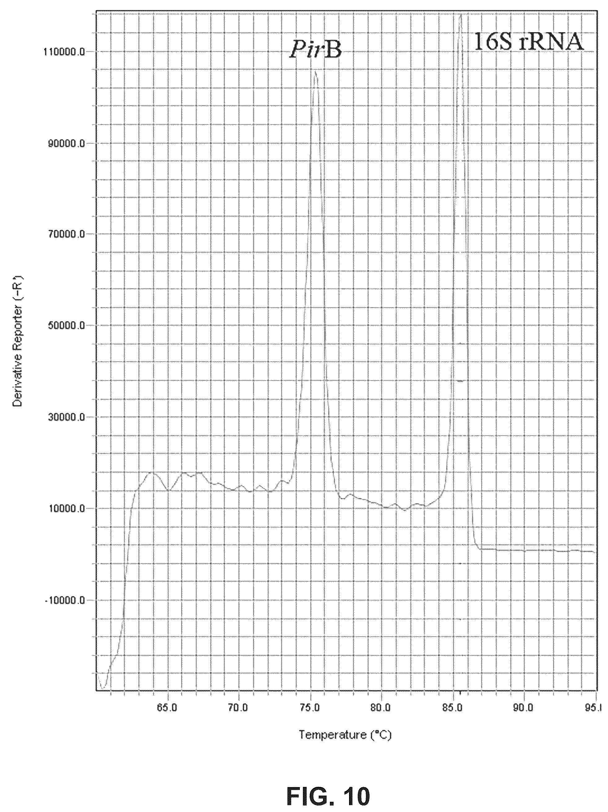 Patent US12480167 Figure 10 – Shrimp disease detection assays and uses thereof