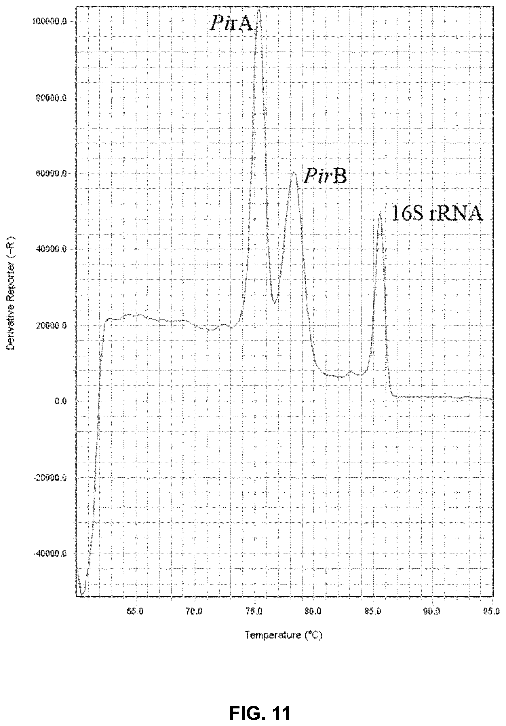 Patent US12480167 Figure 11 – Shrimp disease detection assays and uses thereof