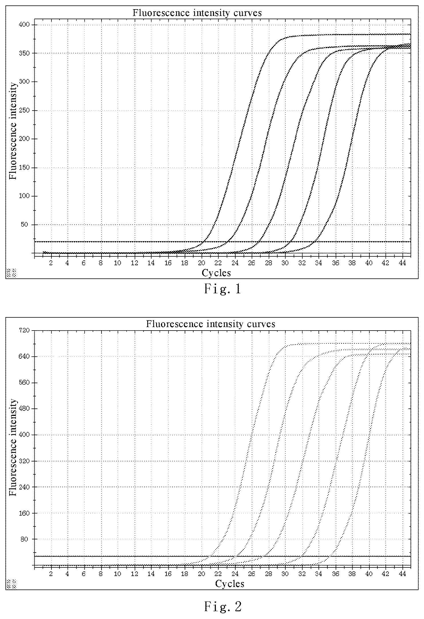 Patent US12480169 Figure 1 – Nucleic acid detection kit for novel coronavirus 2019-nCoV