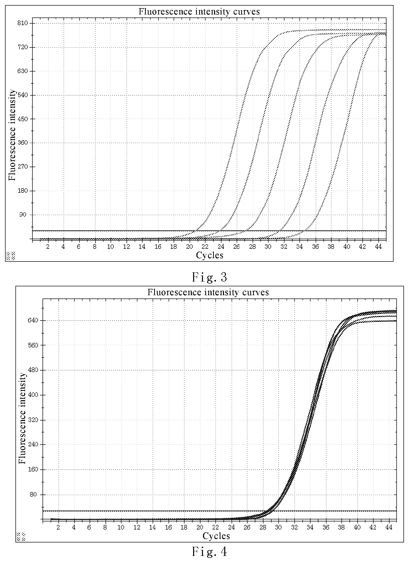 Patent US12480169 Figure 2 – Nucleic acid detection kit for novel coronavirus 2019-nCoV