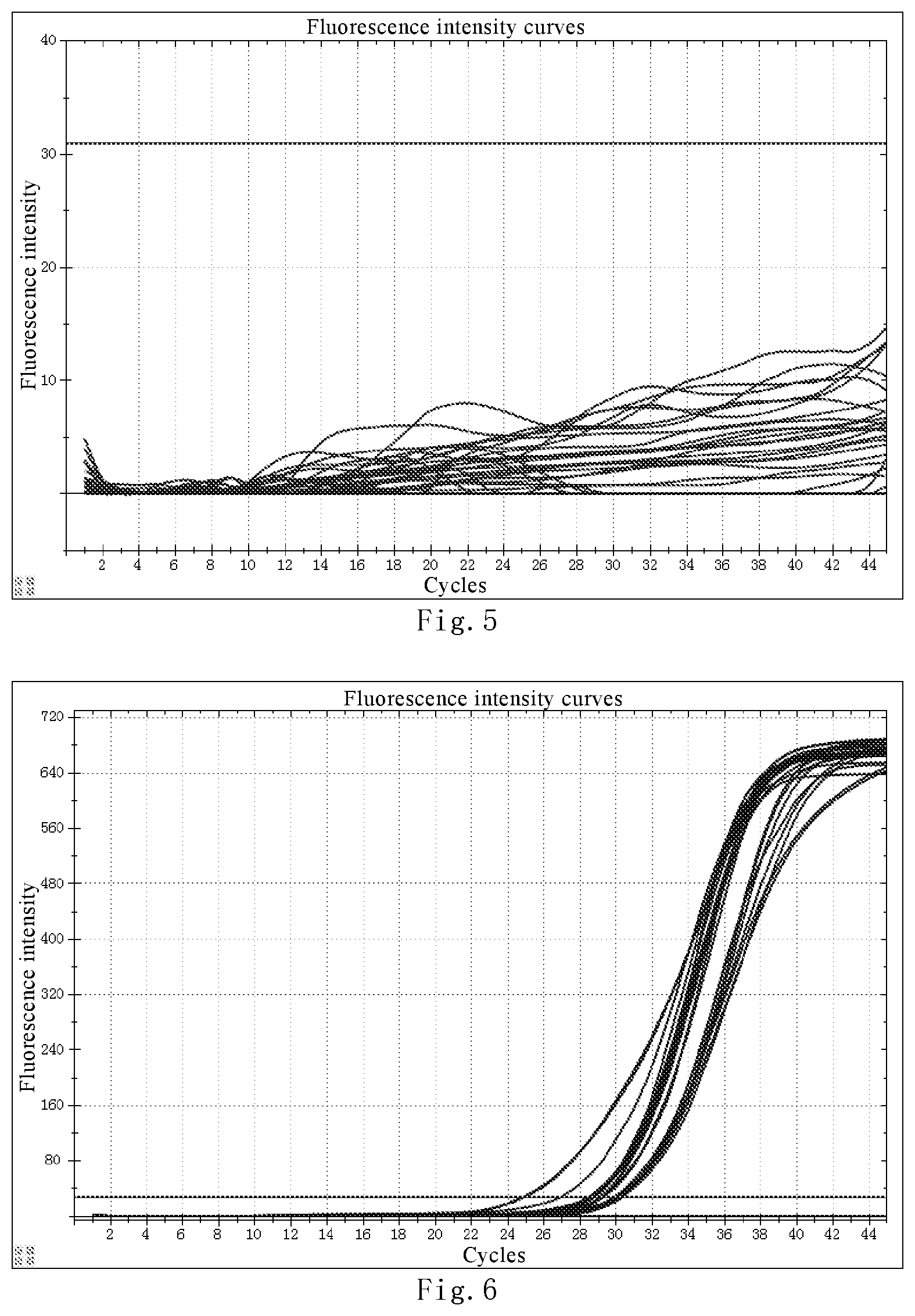 Patent US12480169 Figure 3 – Nucleic acid detection kit for novel coronavirus 2019-nCoV