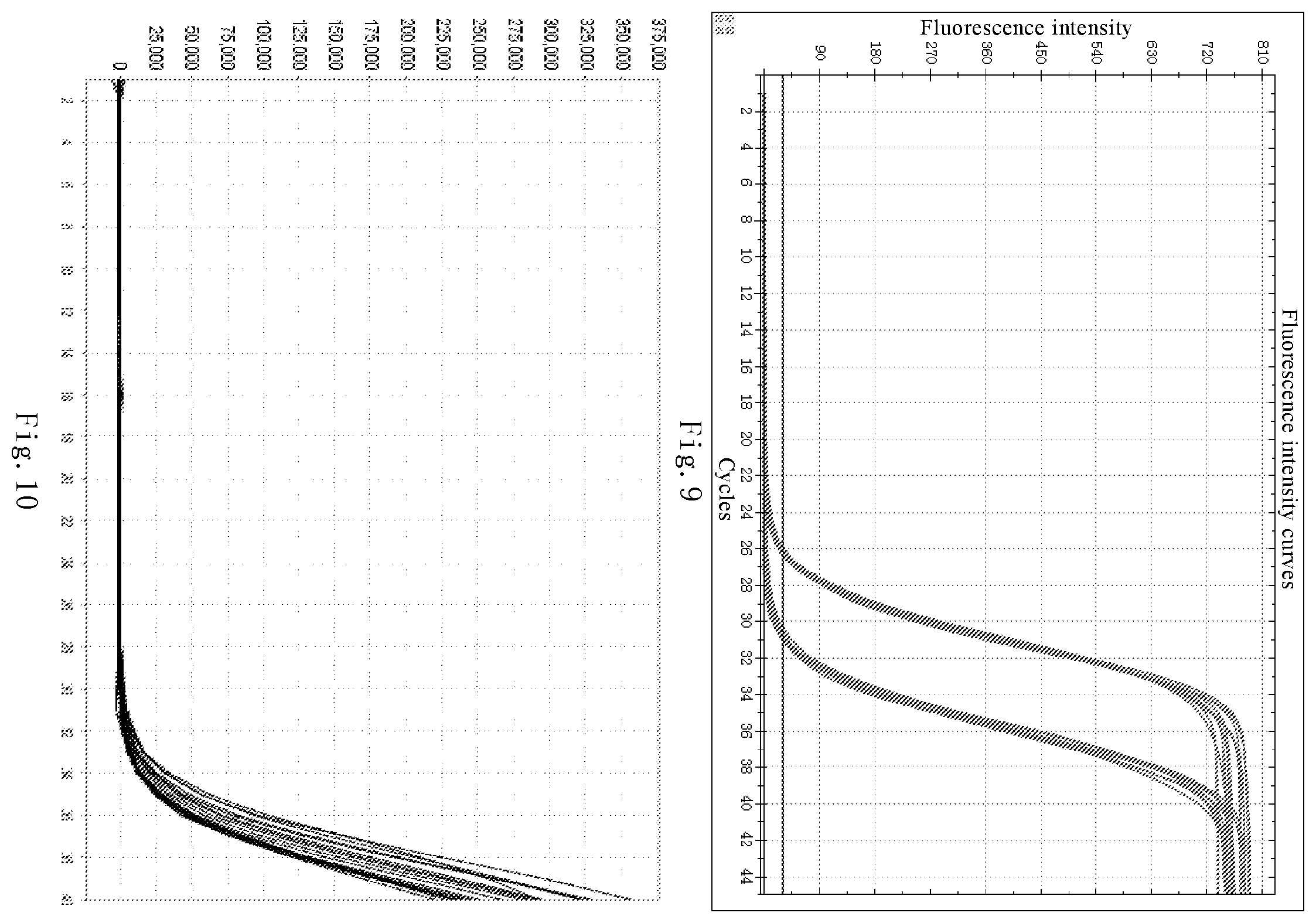 Patent US12480169 Figure 5 – Nucleic acid detection kit for novel coronavirus 2019-nCoV