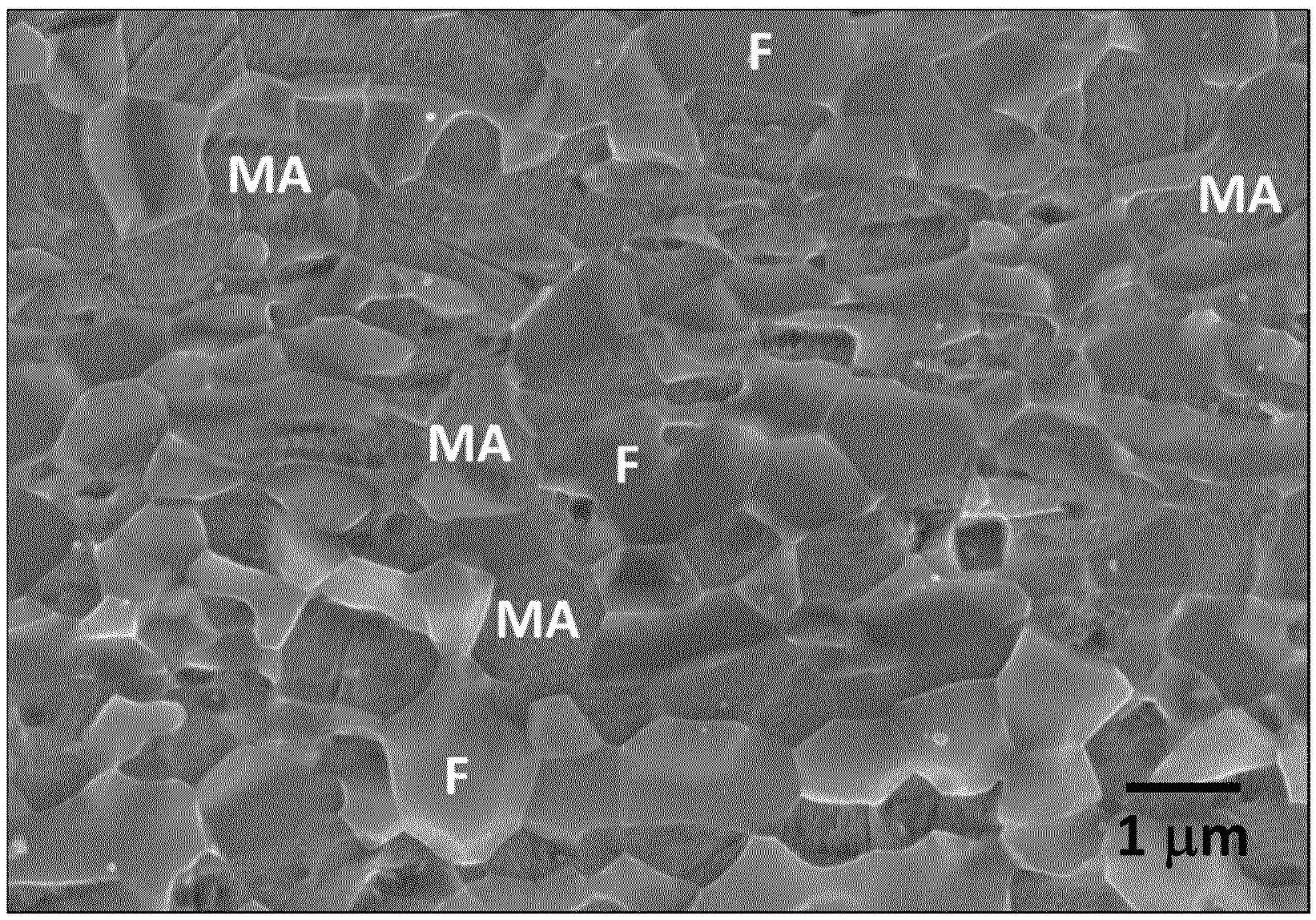 Patent US12480172 Figure 1 – Method of making a cold formable high strength steel strip and steel strip
