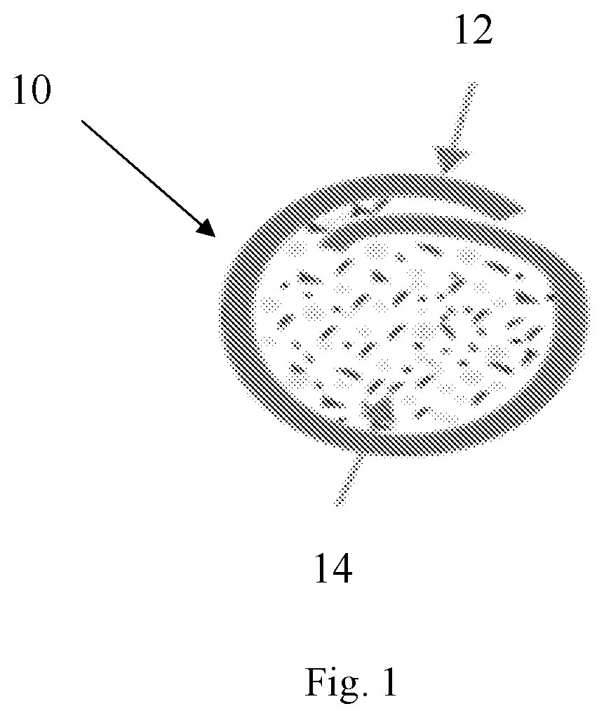 Patent US12480195 Figure 1 – Composite cored wire cladding