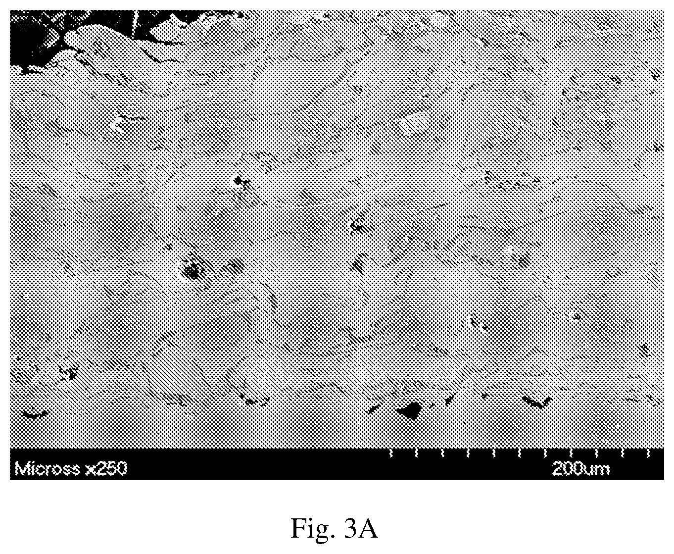 Patent US12480195 Figure 3 – Composite cored wire cladding