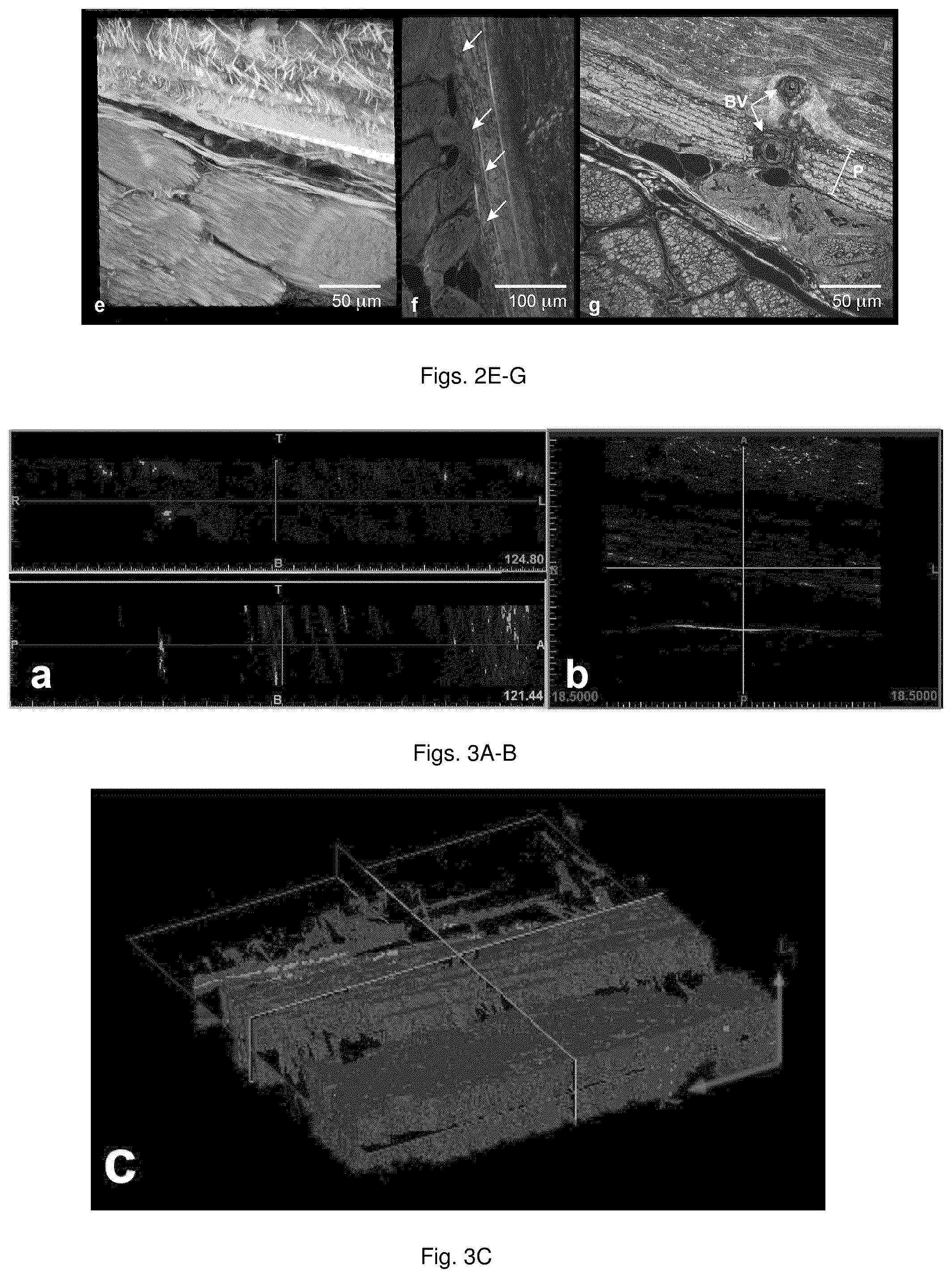 Patent US12480233 Figure 3 – Engineered materials and methods of forming