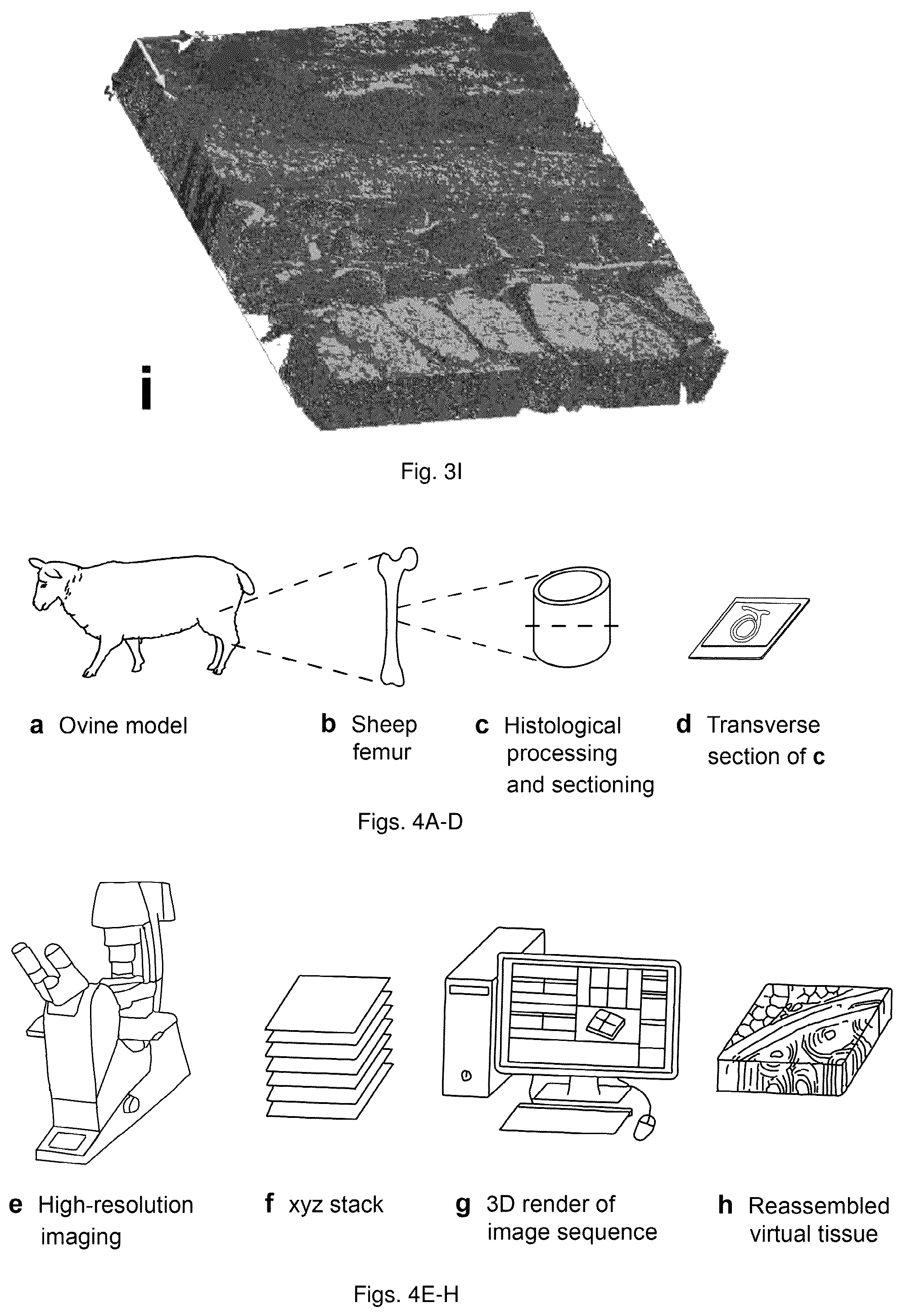 Patent US12480233 Figure 6 – Engineered materials and methods of forming