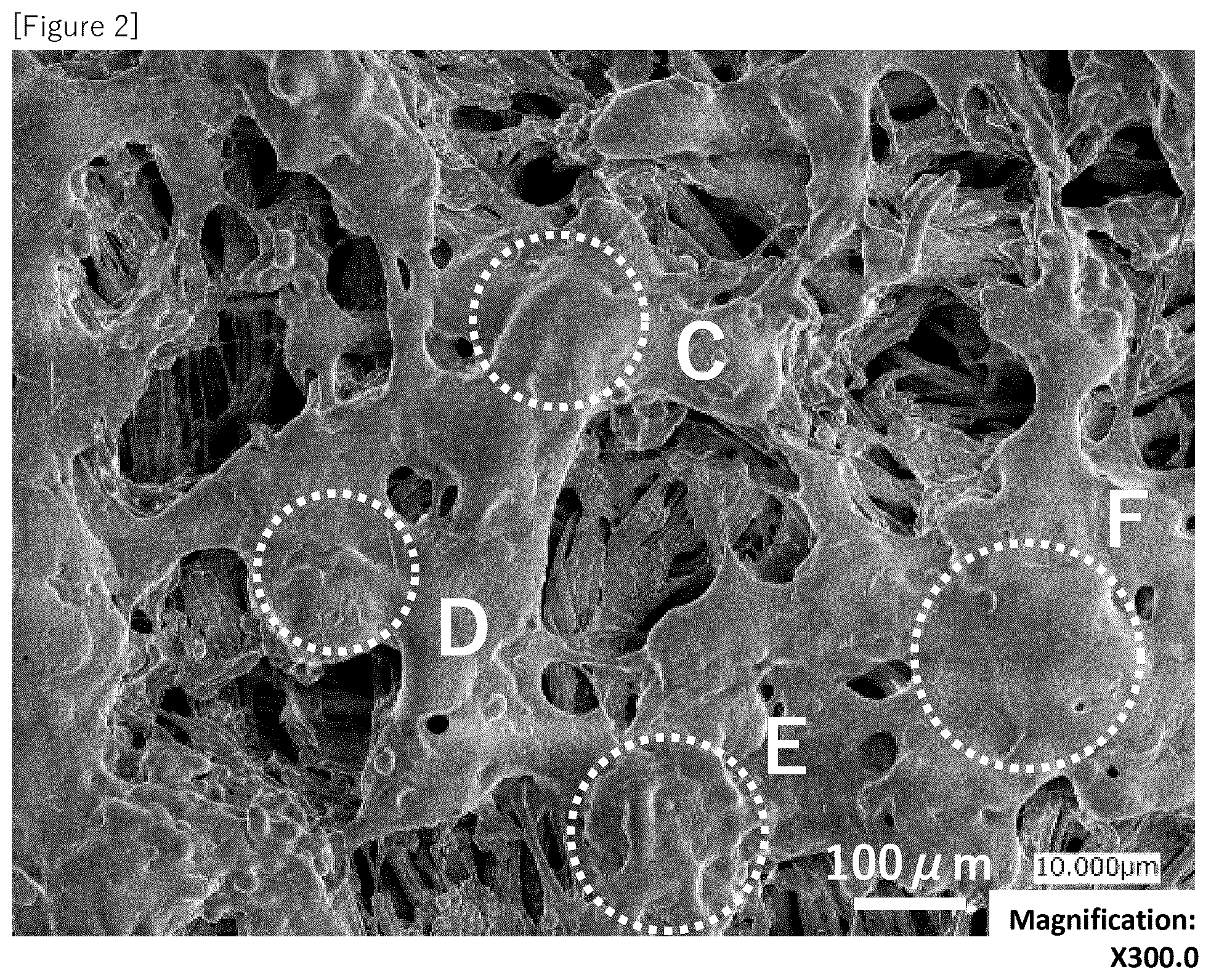 Patent US12480252 Figure 2 – Artificial leather