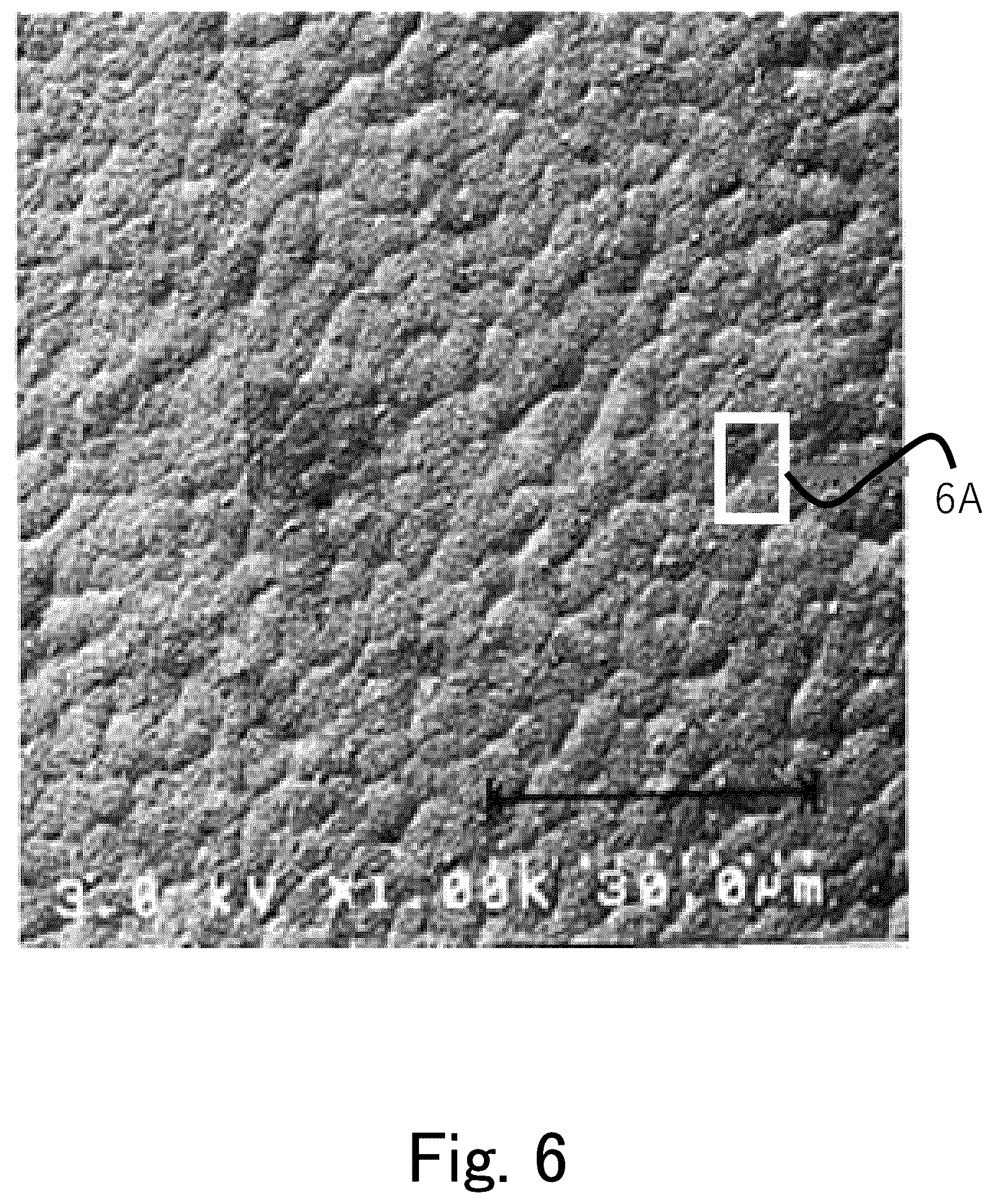 Patent US12480605 Figure 7 – Tube, method for producing tube, and method for storing tube