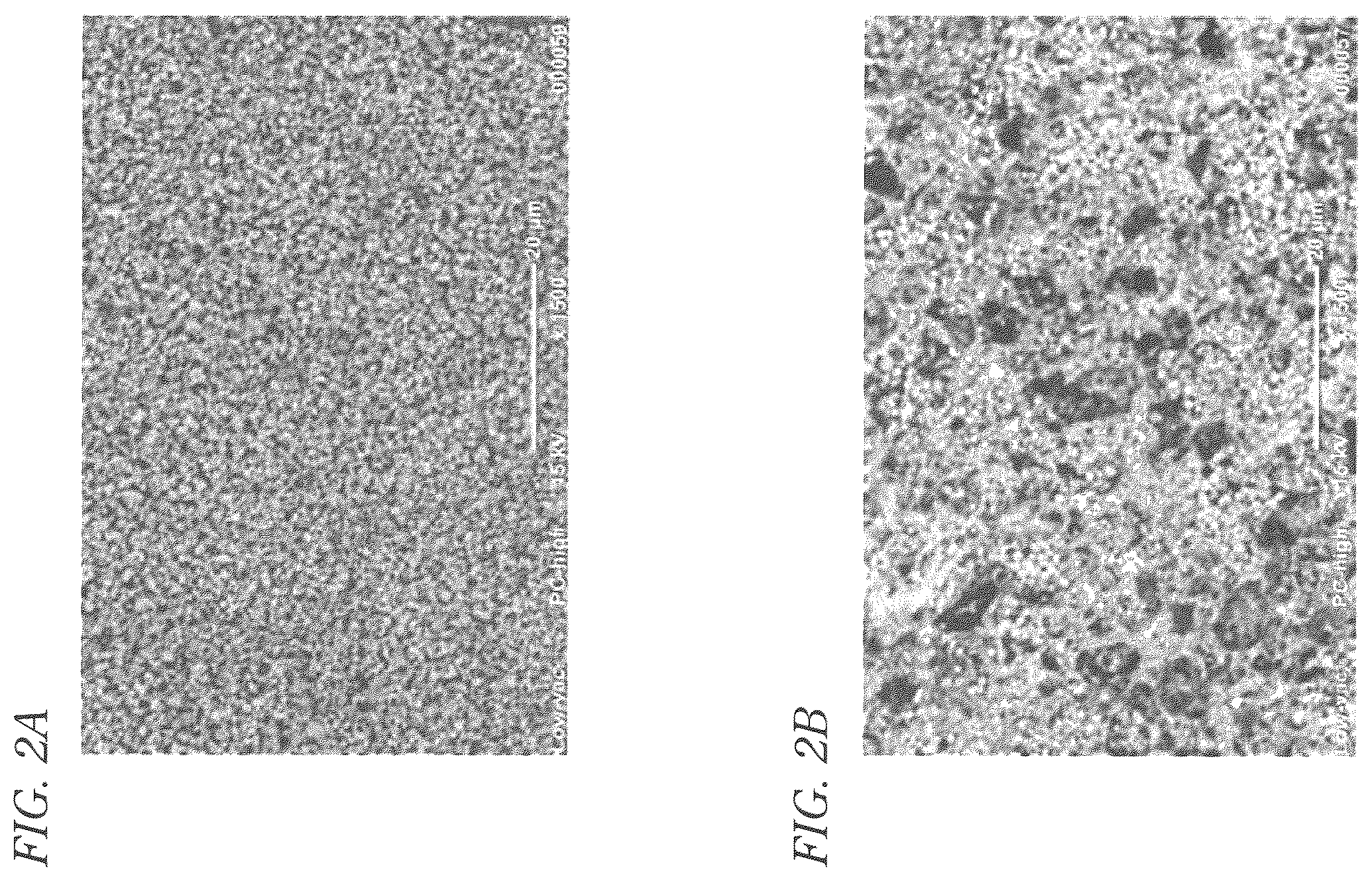 Patent US12480820 Figure 2 – Temperature sensor element and method for manufacturing temperature sensor element