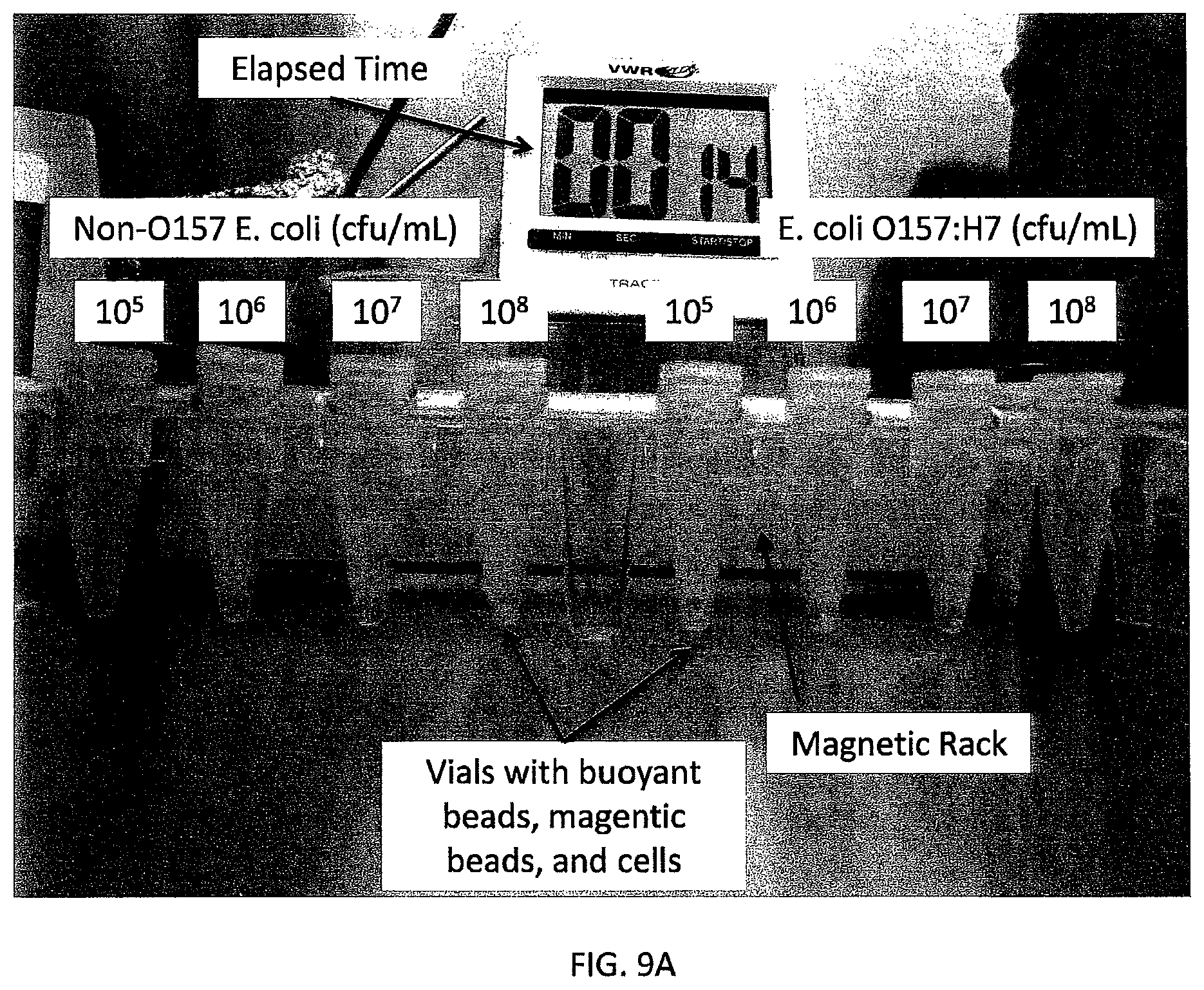 Patent US12480846 Figure 9 – Multi-mode separation for target detection and cell growth monitoring